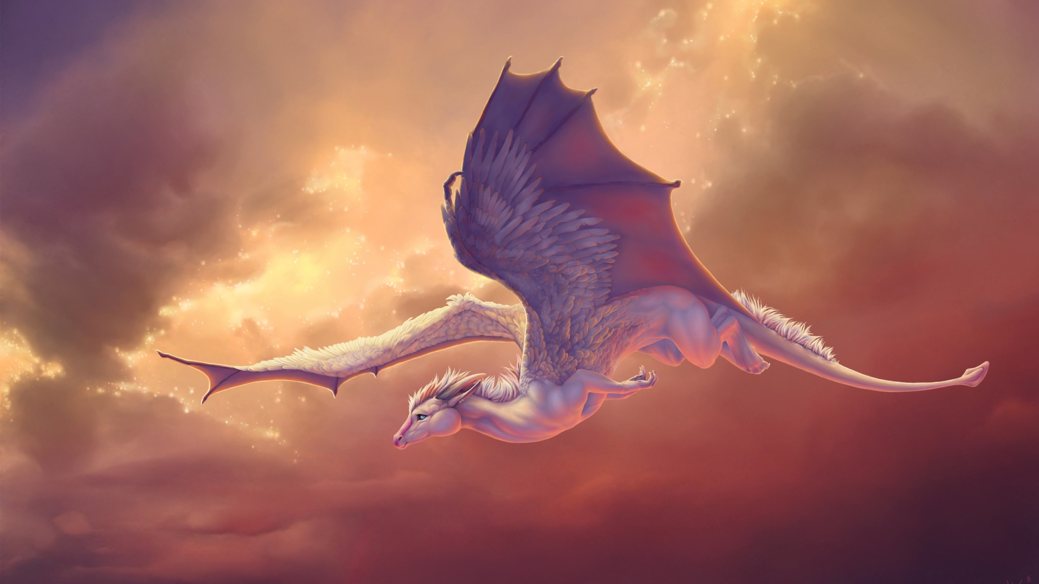 wallpaper 4k flying pegasus dragon horse dragon flying horse pegasus wallpaper 4k flying pegasus dragon