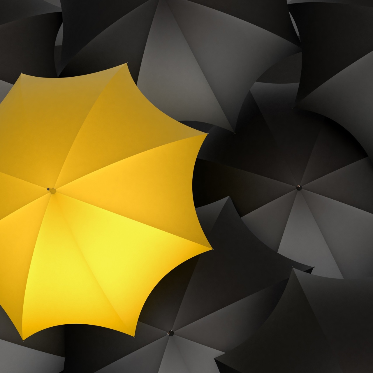 Umbrella Monochrome Yellow Digital Art 4k - 4k Wallpapers - 40.000 ...
