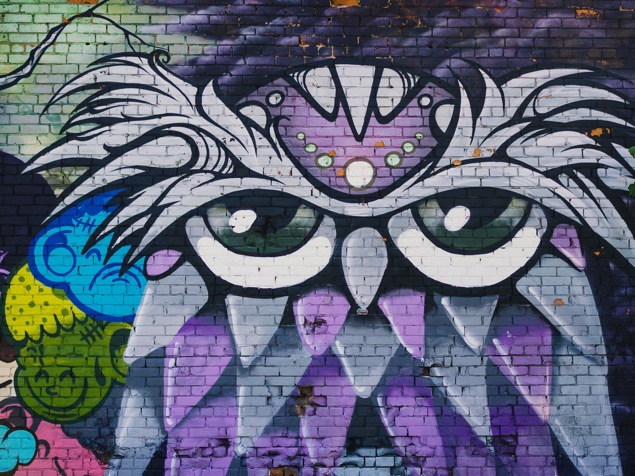 Wallpaper 4k owl, graffiti, art, wall, street art 4k Wallpaper