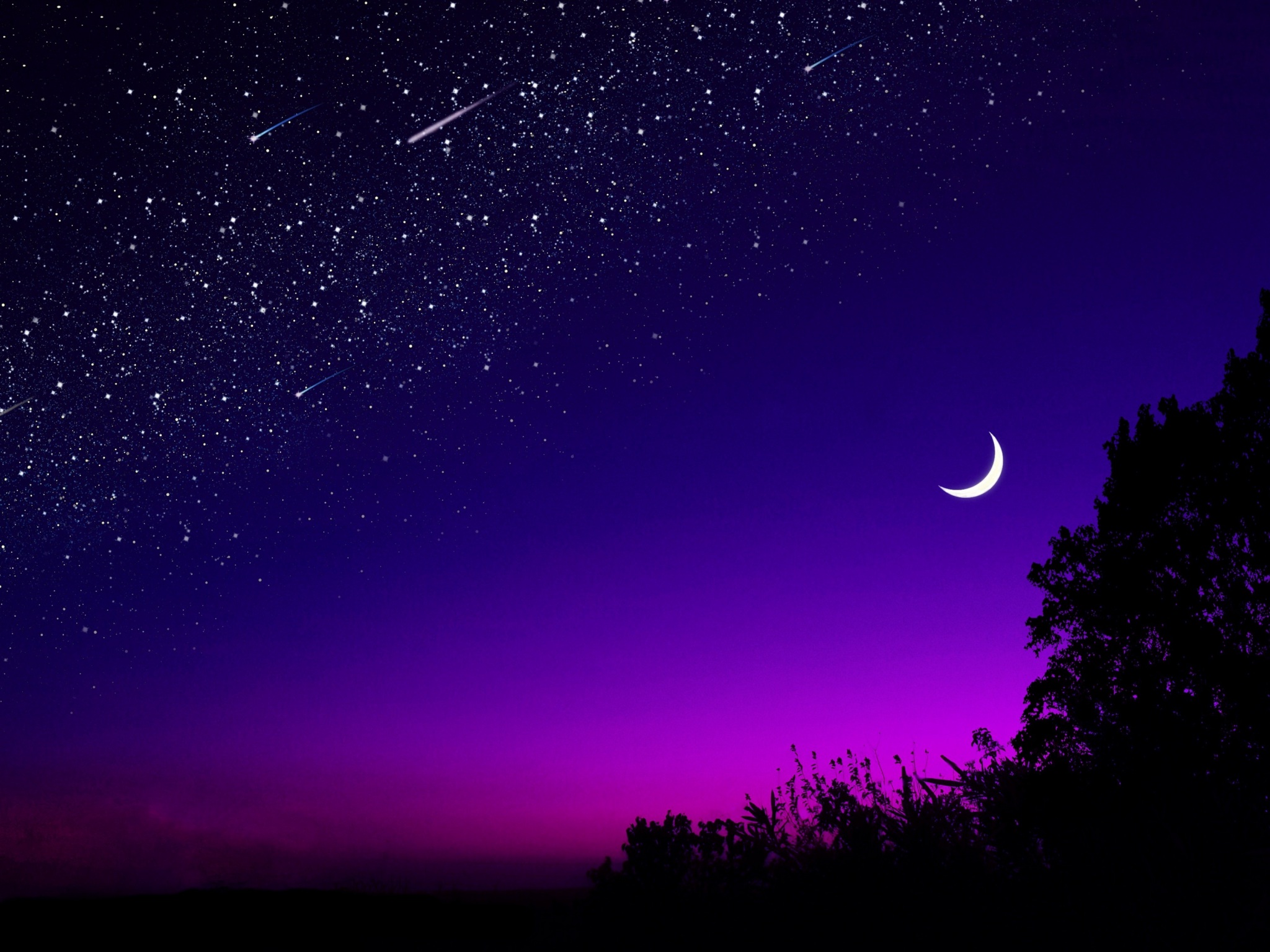 Đêm (night): Đêm đẹp như trăng khuyết, khi oánh chén rượu hoa cũng chẳng bằng tất cả những thứ mà bạn có thể thấy được vào ban đêm. Góc nhìn độc đáo, không khí lặng lẽ chỉ có lúc đêm xuống thật là tuyệt vời.