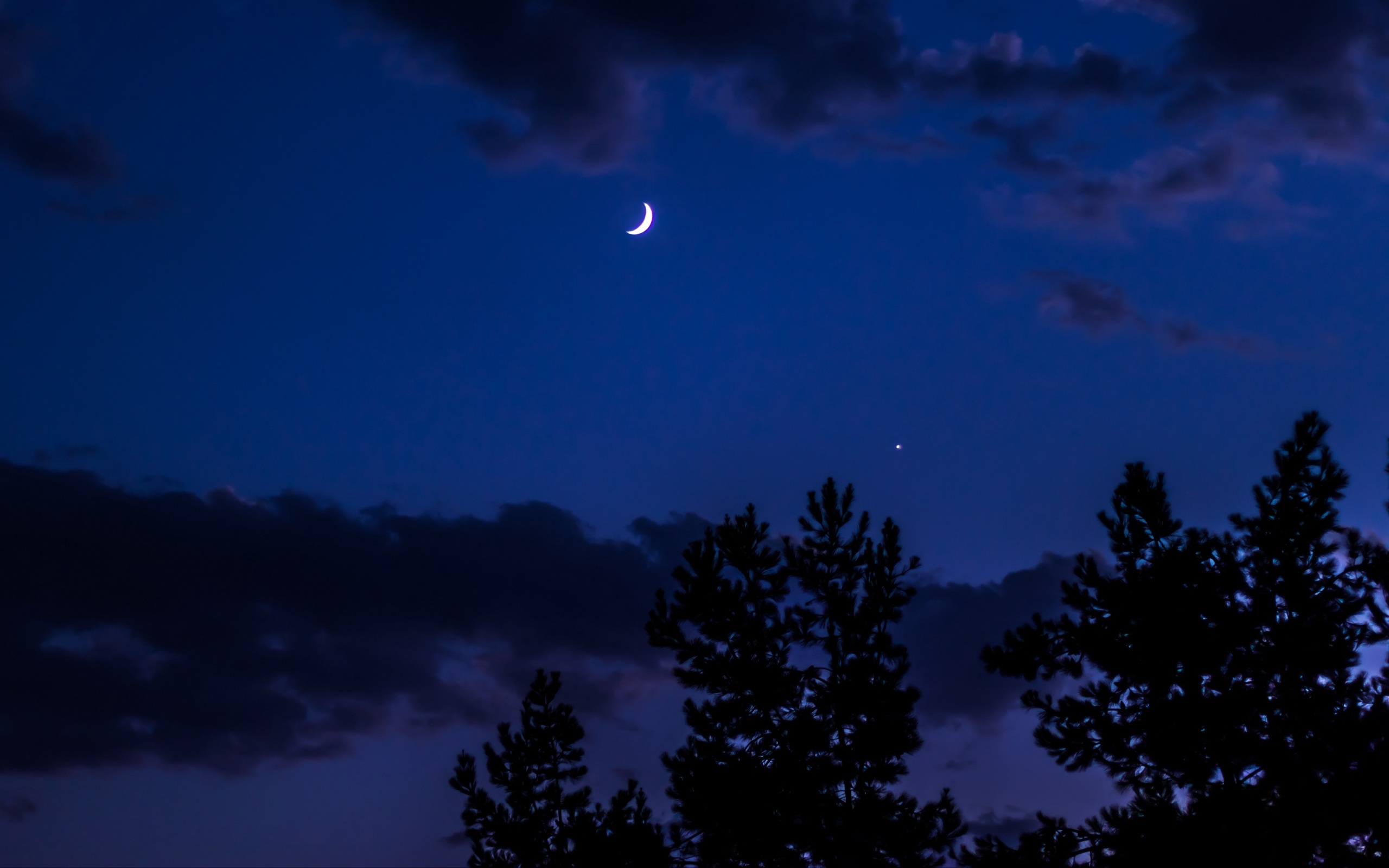 Night, Moon, Sky, Clouds, Trees 4K Wallpaper 4K