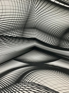 plexus, monochrome, lines, wavy, shapes 4k - 4k Wallpapers - 40.000 ...