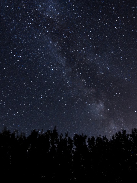 starry sky, milky way, night, trees, dark, shine 4k - 4k Wallpapers ...