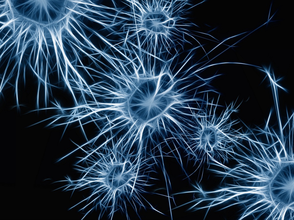 neuron iphone wallpaper