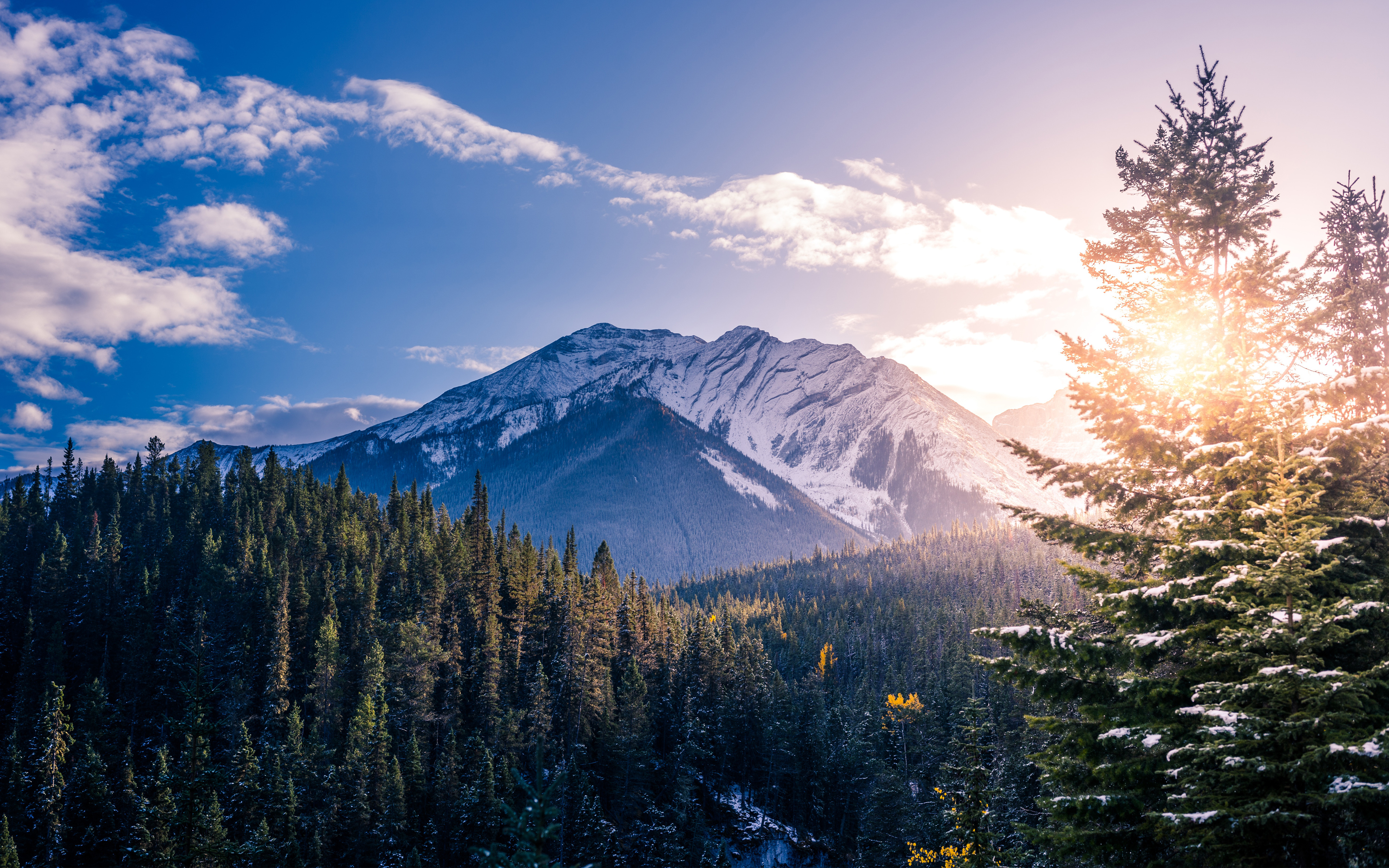 Download The Magic of Banff National Park Wallpaper  Wallpaperscom