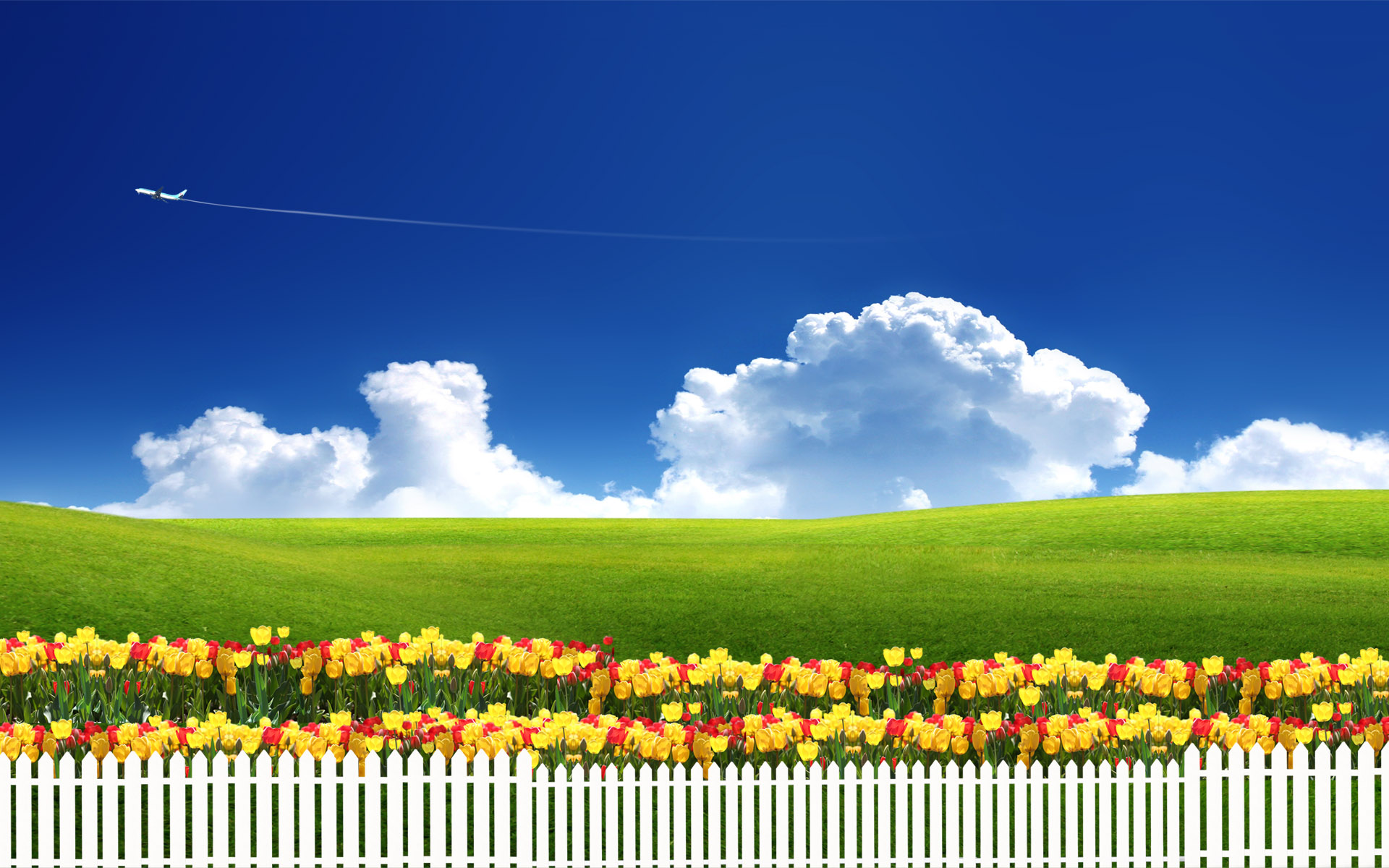 1920x1080 Blue Sky And Flower Laptop Full HD 1080P HD 4k Wallpapers, Images,  Backgrounds, Photos and Pictures