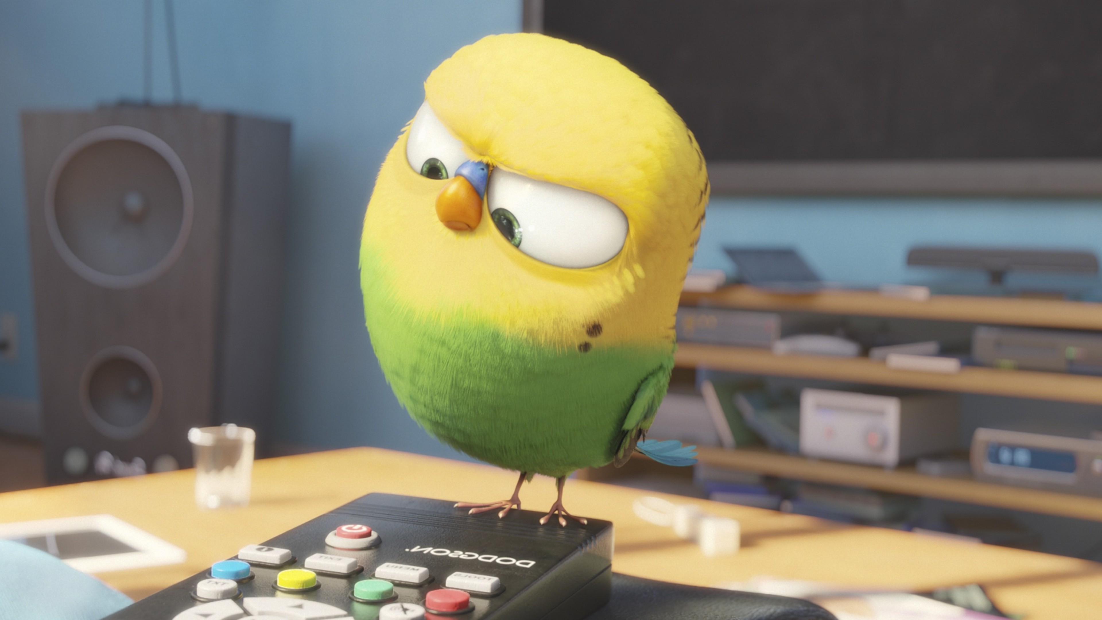 bird secrete life of pets 1536362046