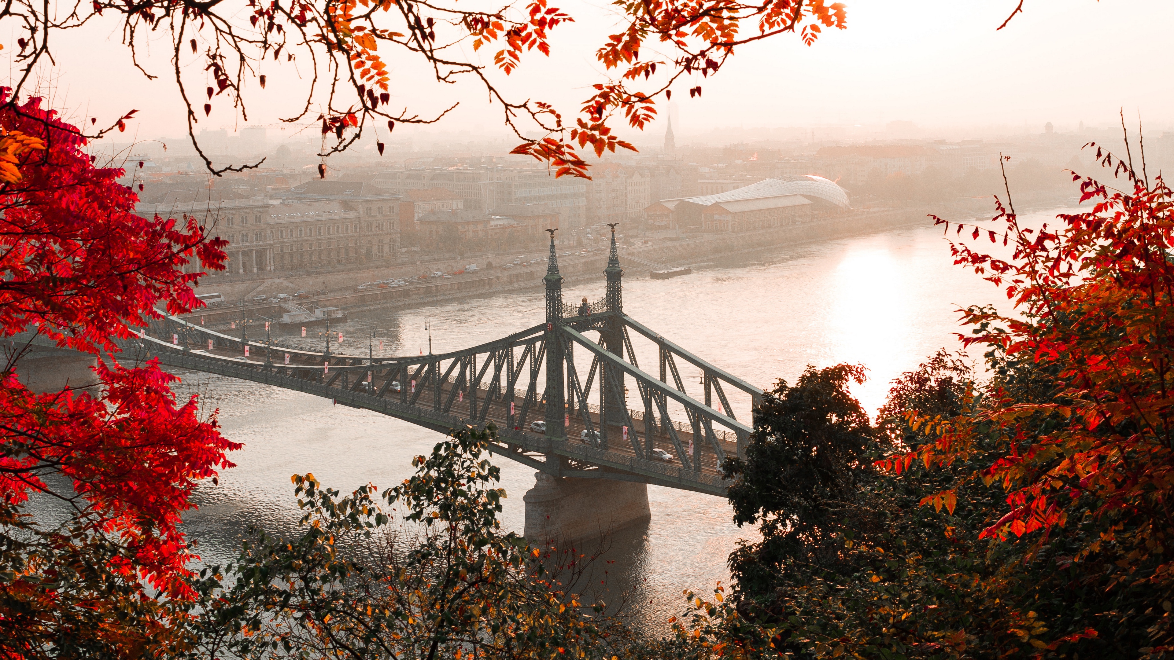 bridge autumn city citadella budapest hungary 4k 1538068184