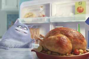 cat secrete life of pets 1536362058