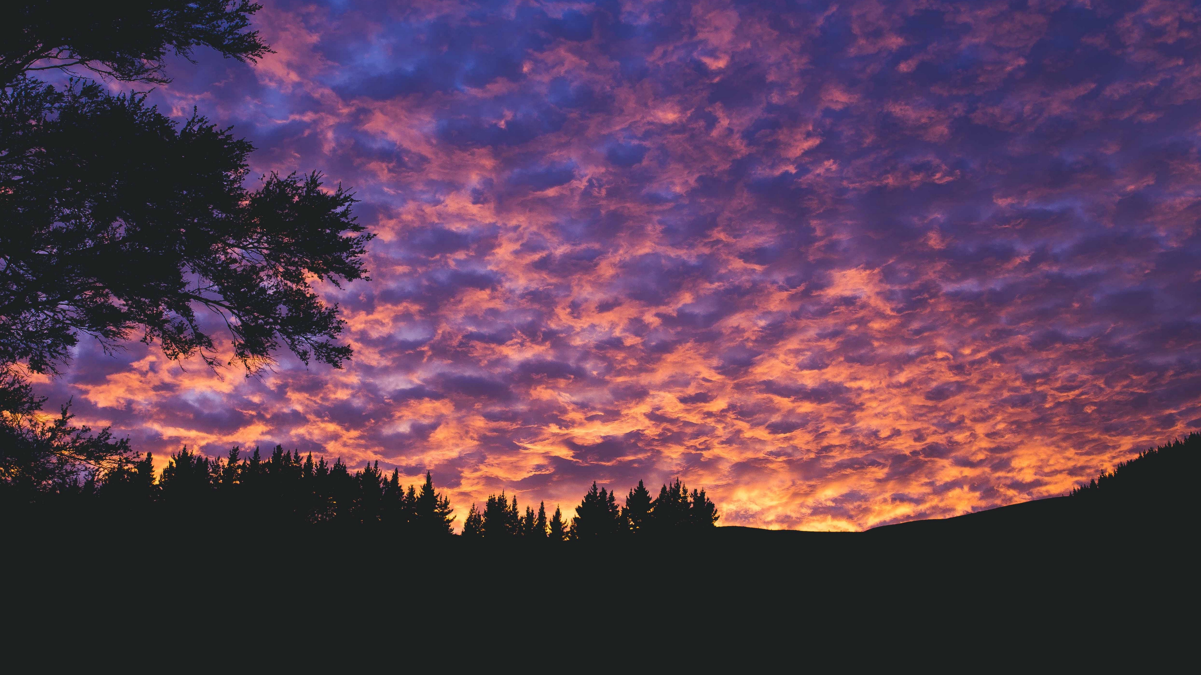 clouds trees sunset porous evening 4k 1536017761