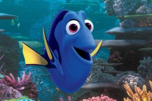 dory 1536363372