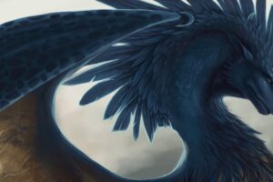 dragon fantasy art feathers 4k 1536098187