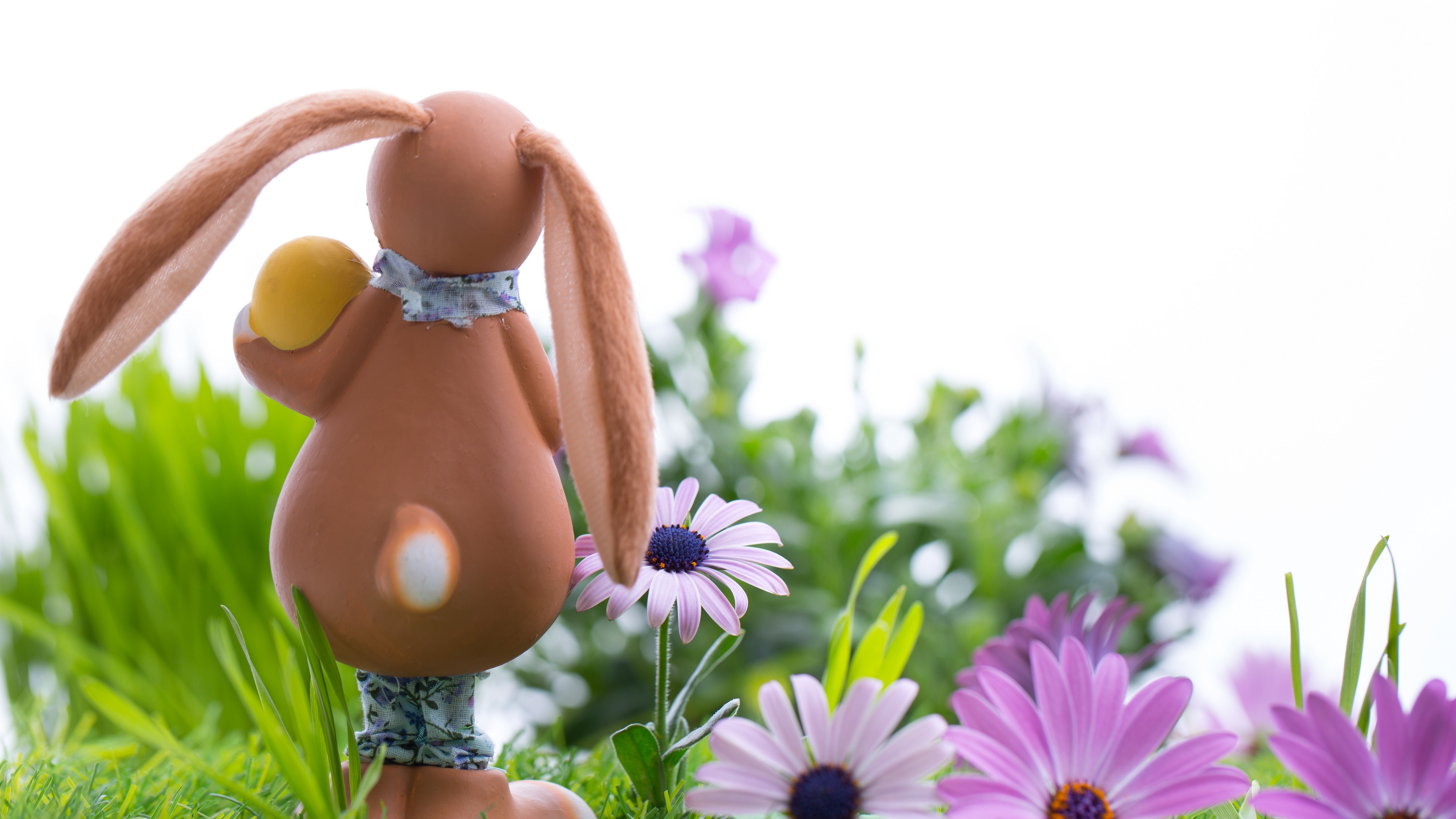 easter bunny eggs grass 4k 1538345175