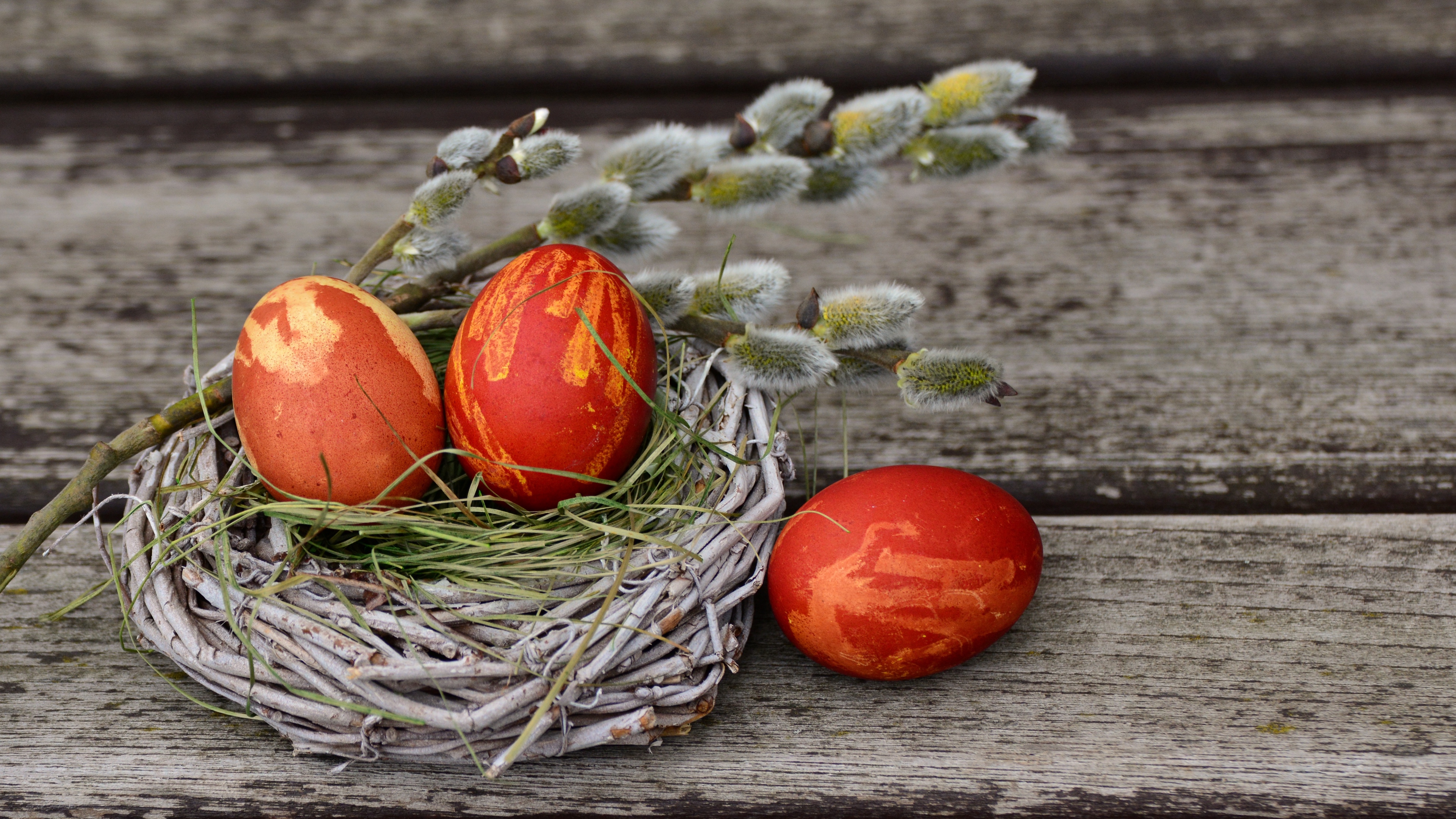 eggs easter willow decorating 4k 1538344634