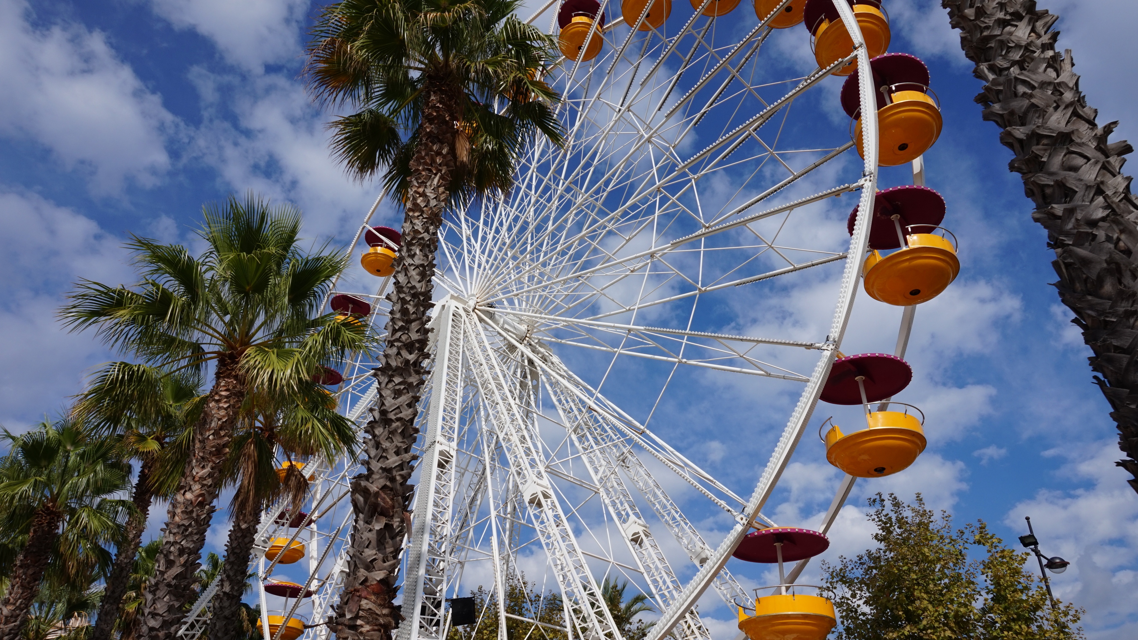 ferris wheel amusement palm trees 4k 1538064837