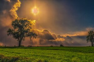 field trees grass sky 1535922287