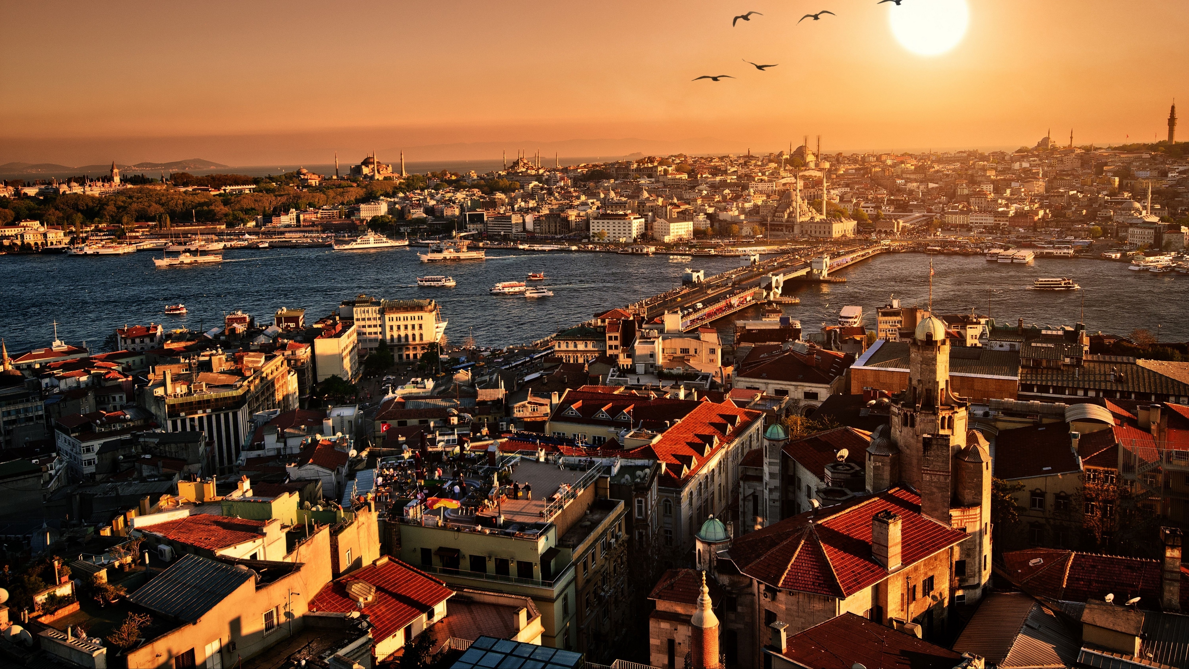 100 Stunning Istanbul Pictures Scenic Travel Photos  Download Free  Images on Unsplash