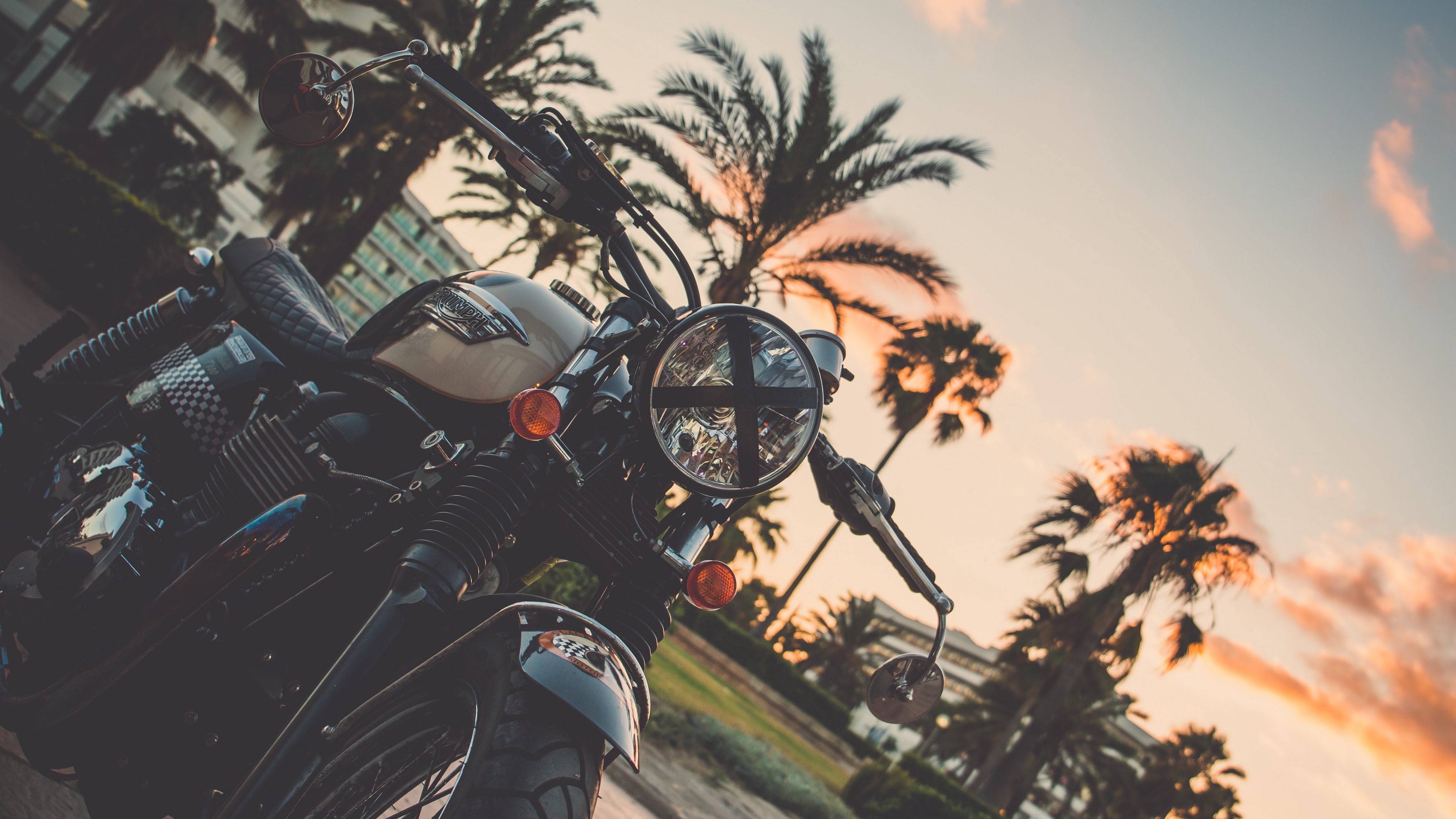 motorcycle bike palm tree 4k 1536018800