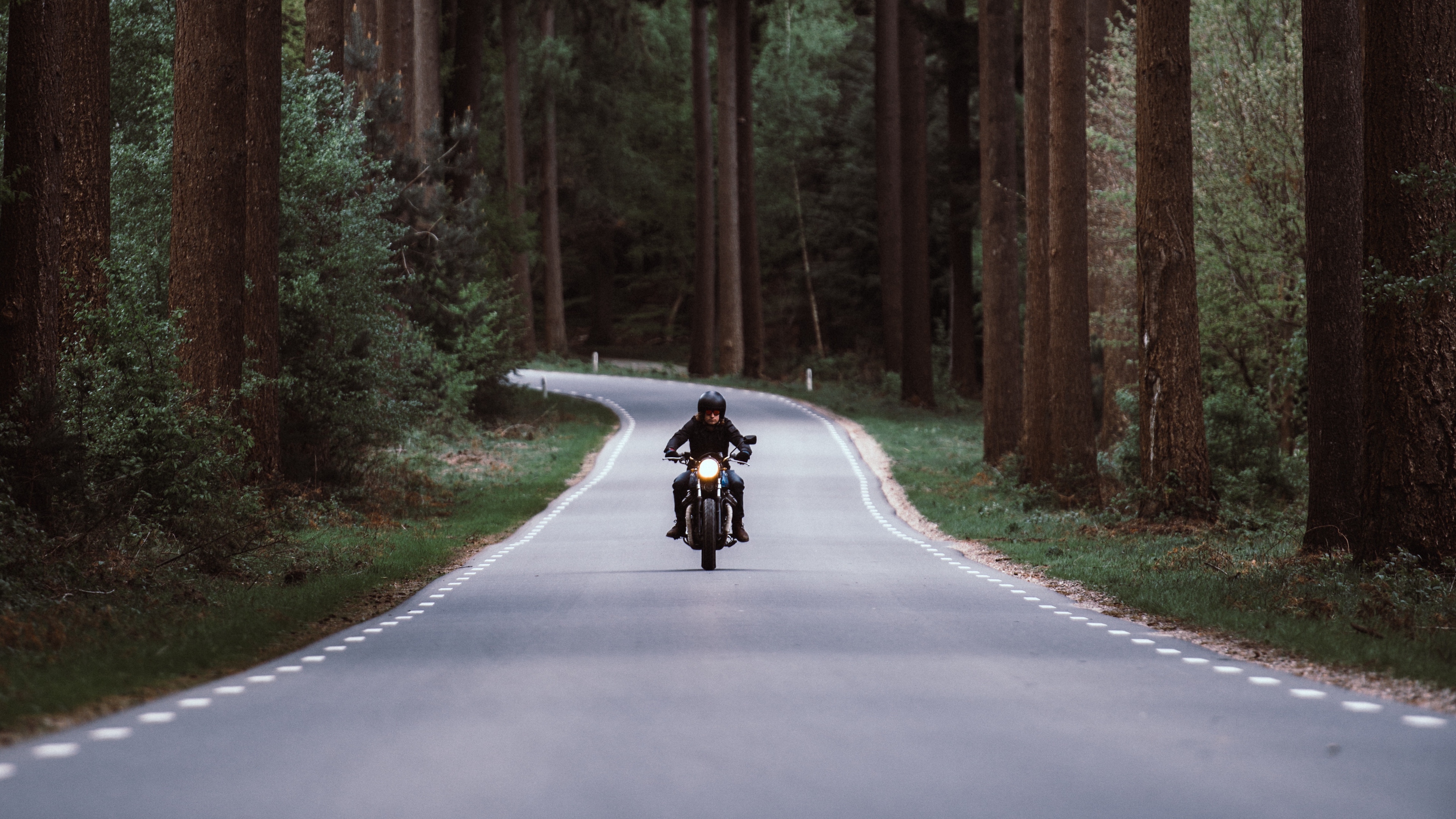 motorcyclist motorcycle road forest movement turn 4k 1536018429