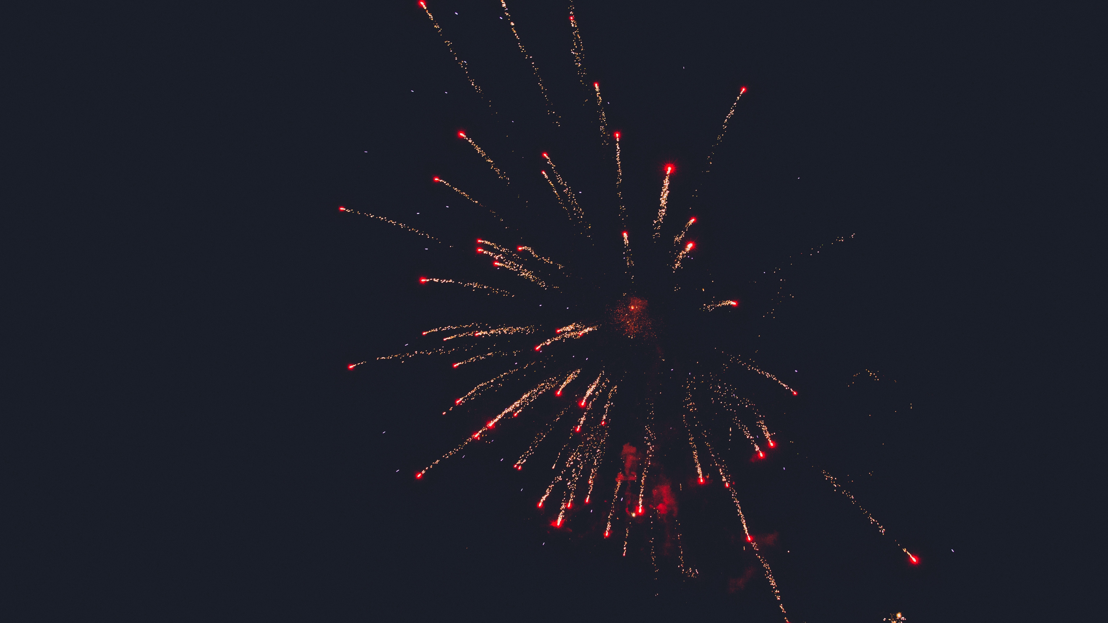 sky flower fireworks hd