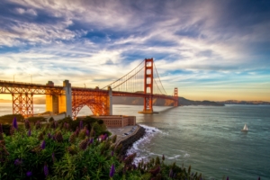 san francisco usa pacific ocean california sailboat flowers 4k 1538065668