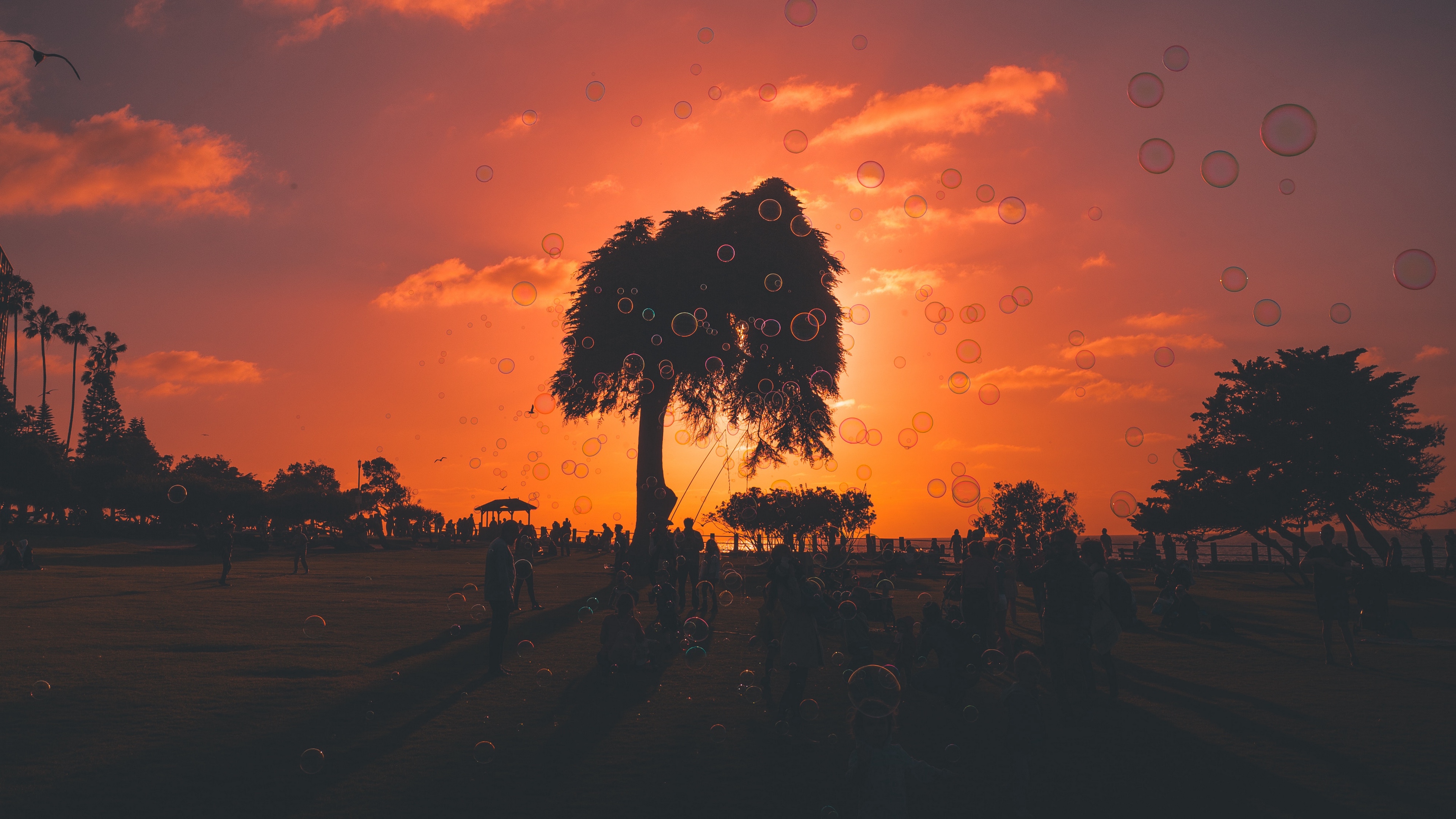 soap bubbles sunset trees people 4k 1536017757