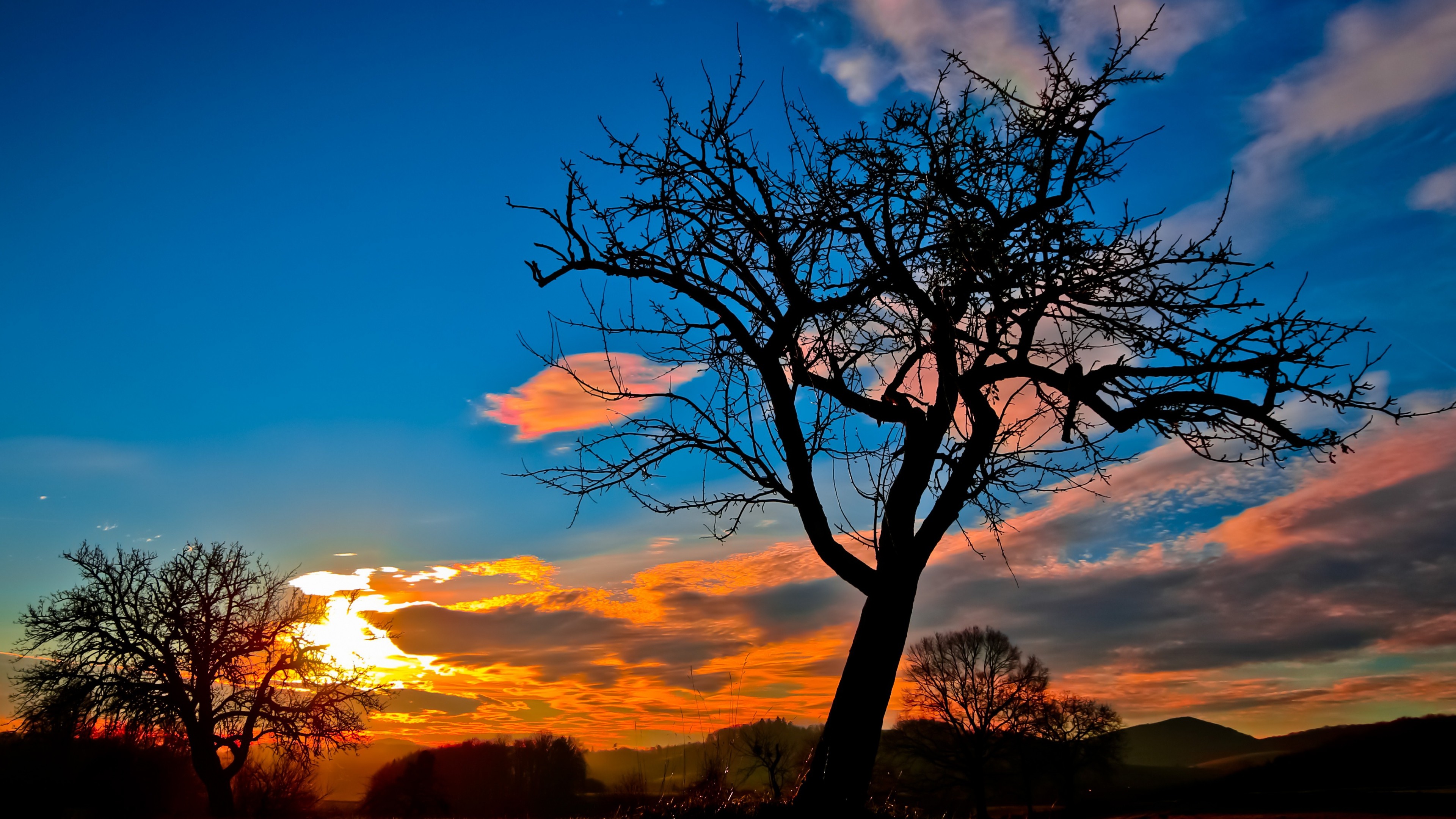 sunset trees sky 1535930189