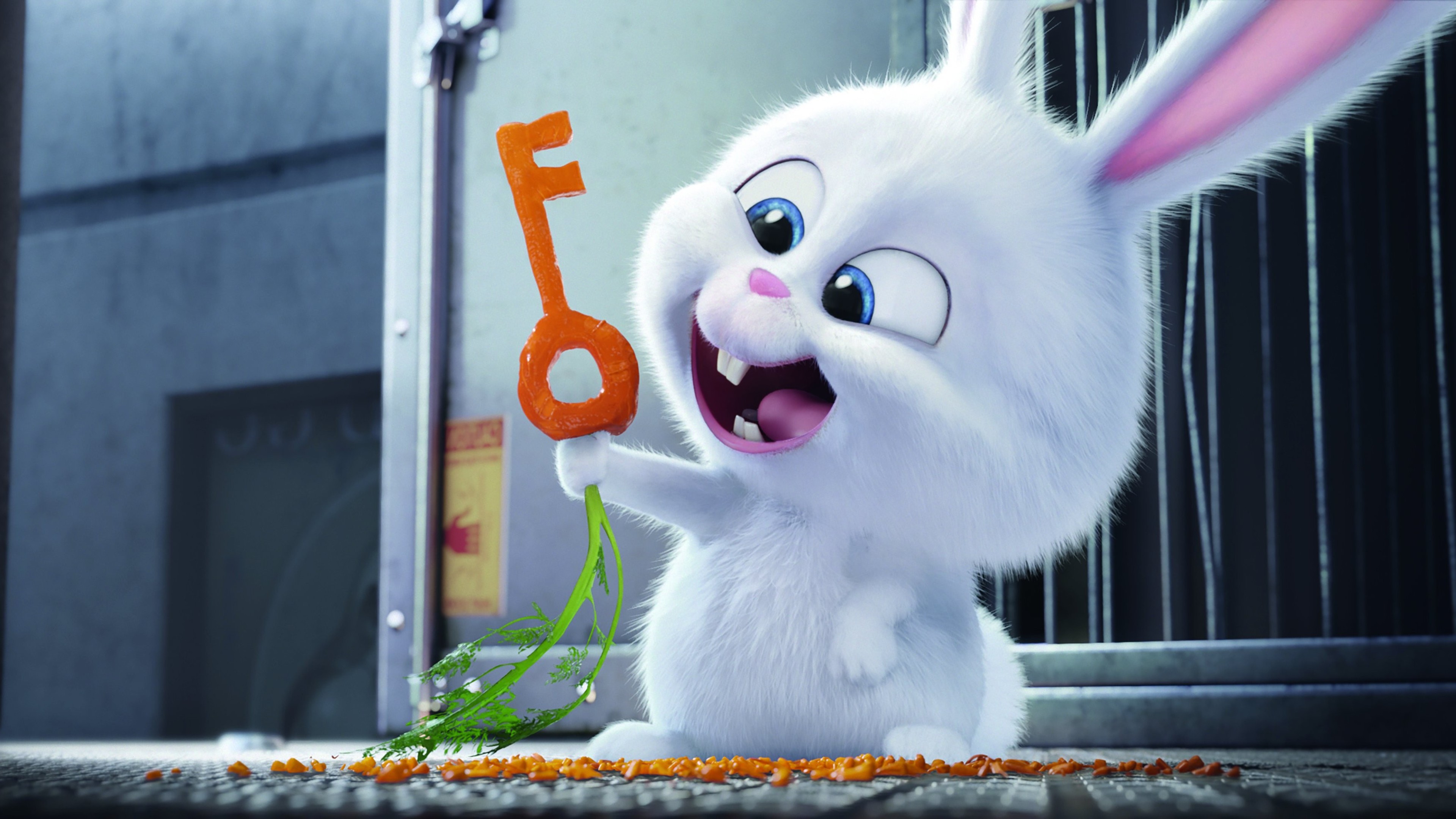 the secrete life of pets bunny 1536362083