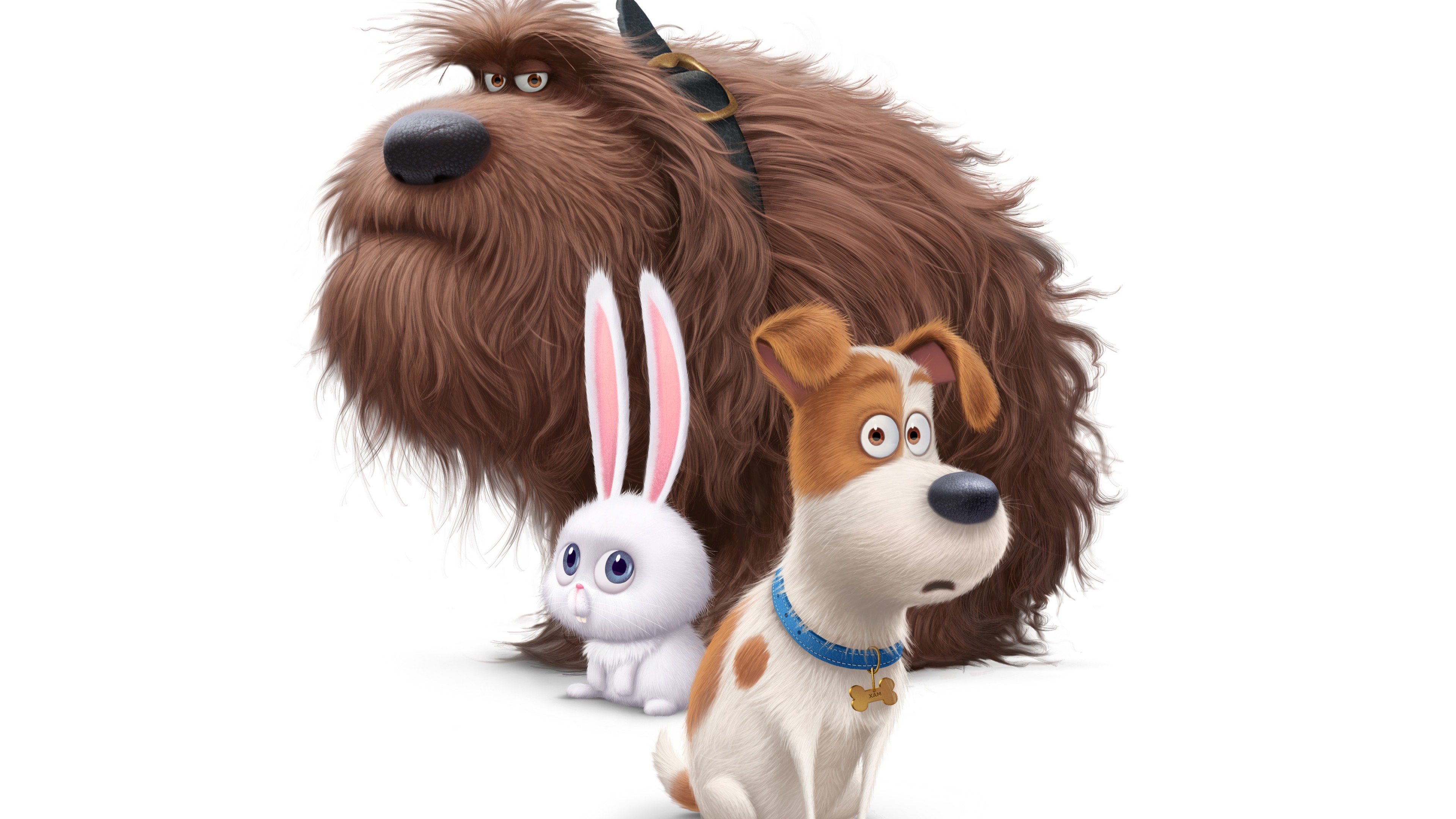 Wallpaper 4k The Secrete Life Of Pets Movie Dogs 2016 Movies