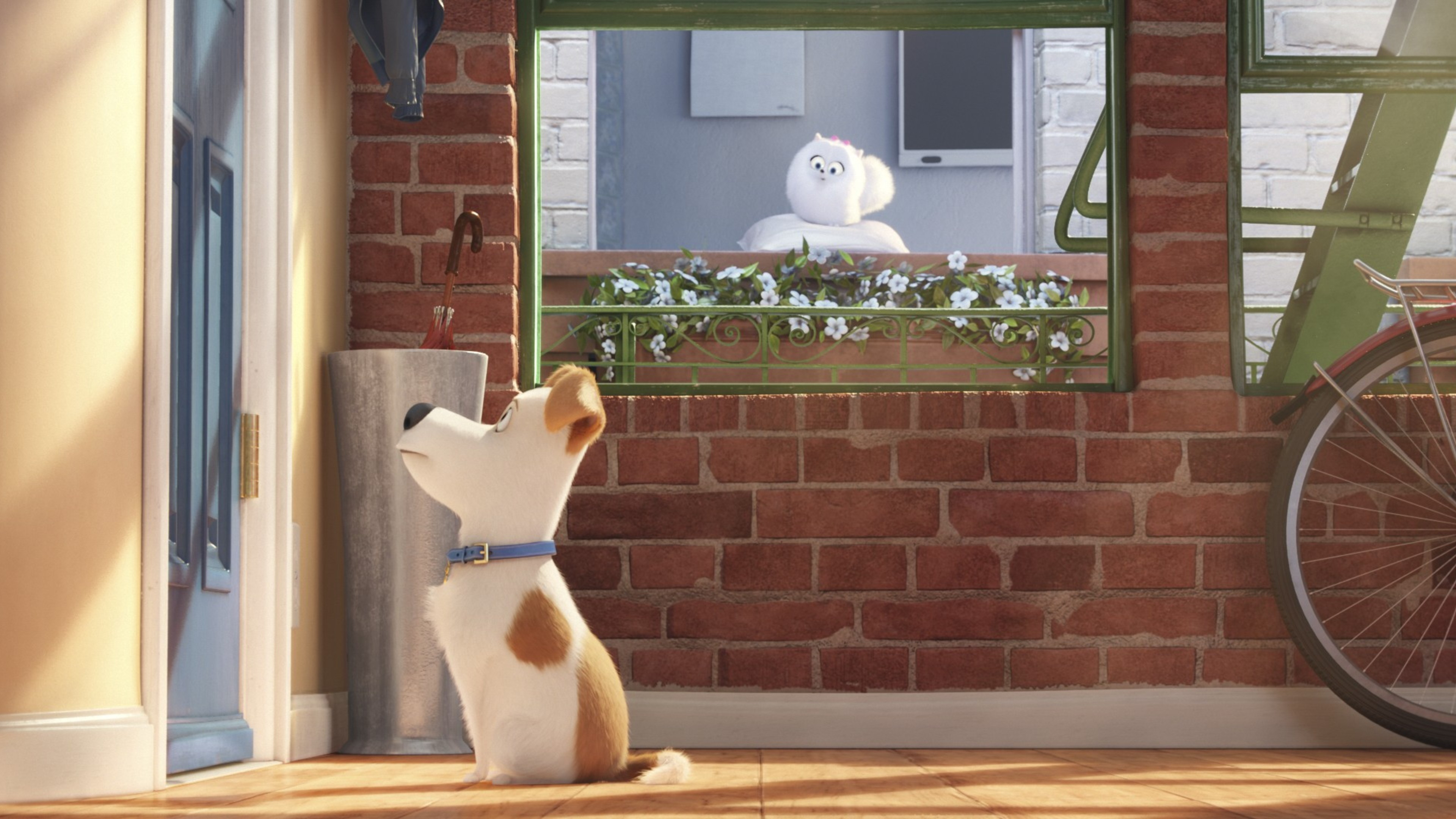 the secrete life of pets movie main character 1536362058