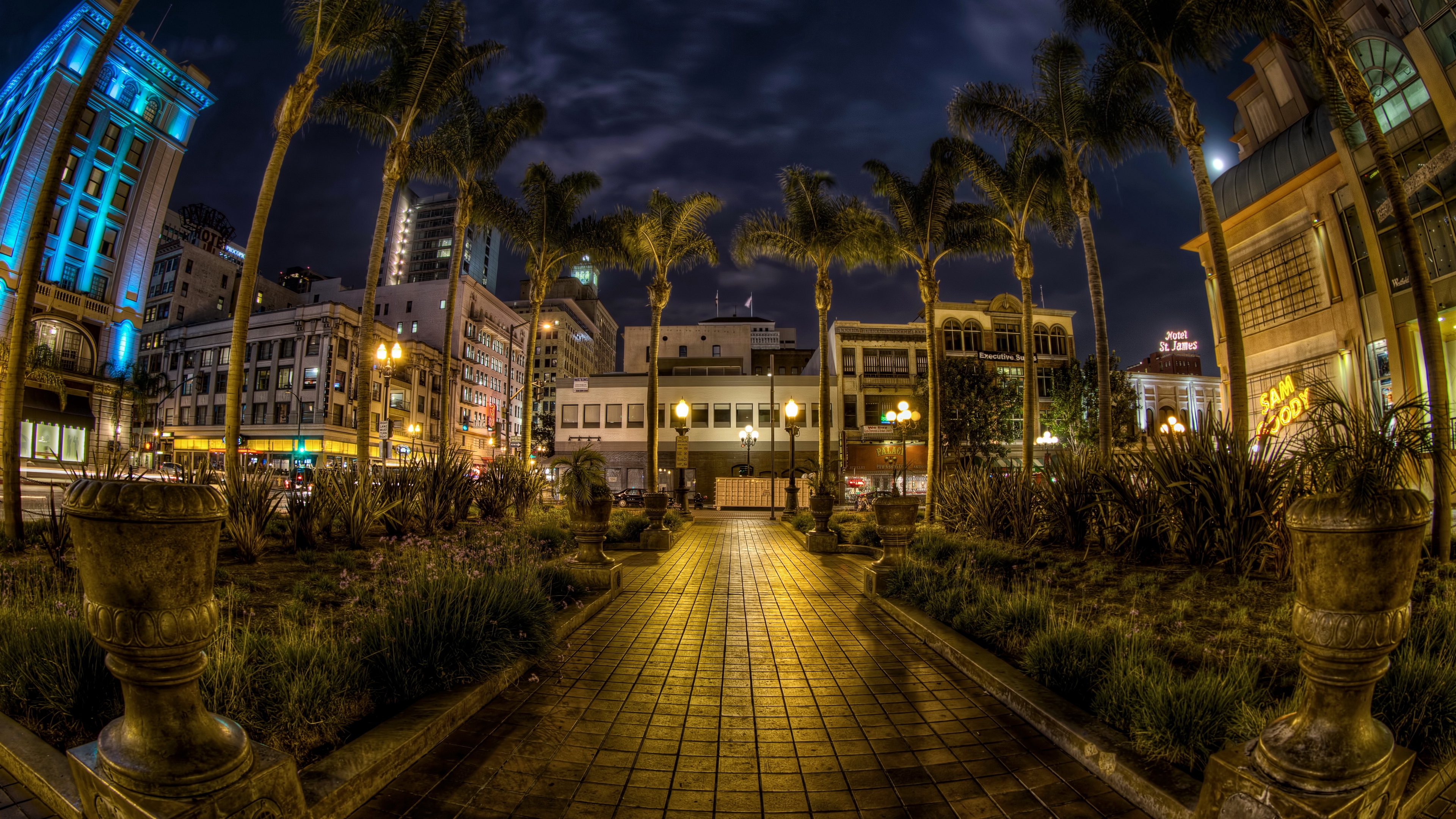 usa san diego california trees palms night pavement hdr 4k 1538066821