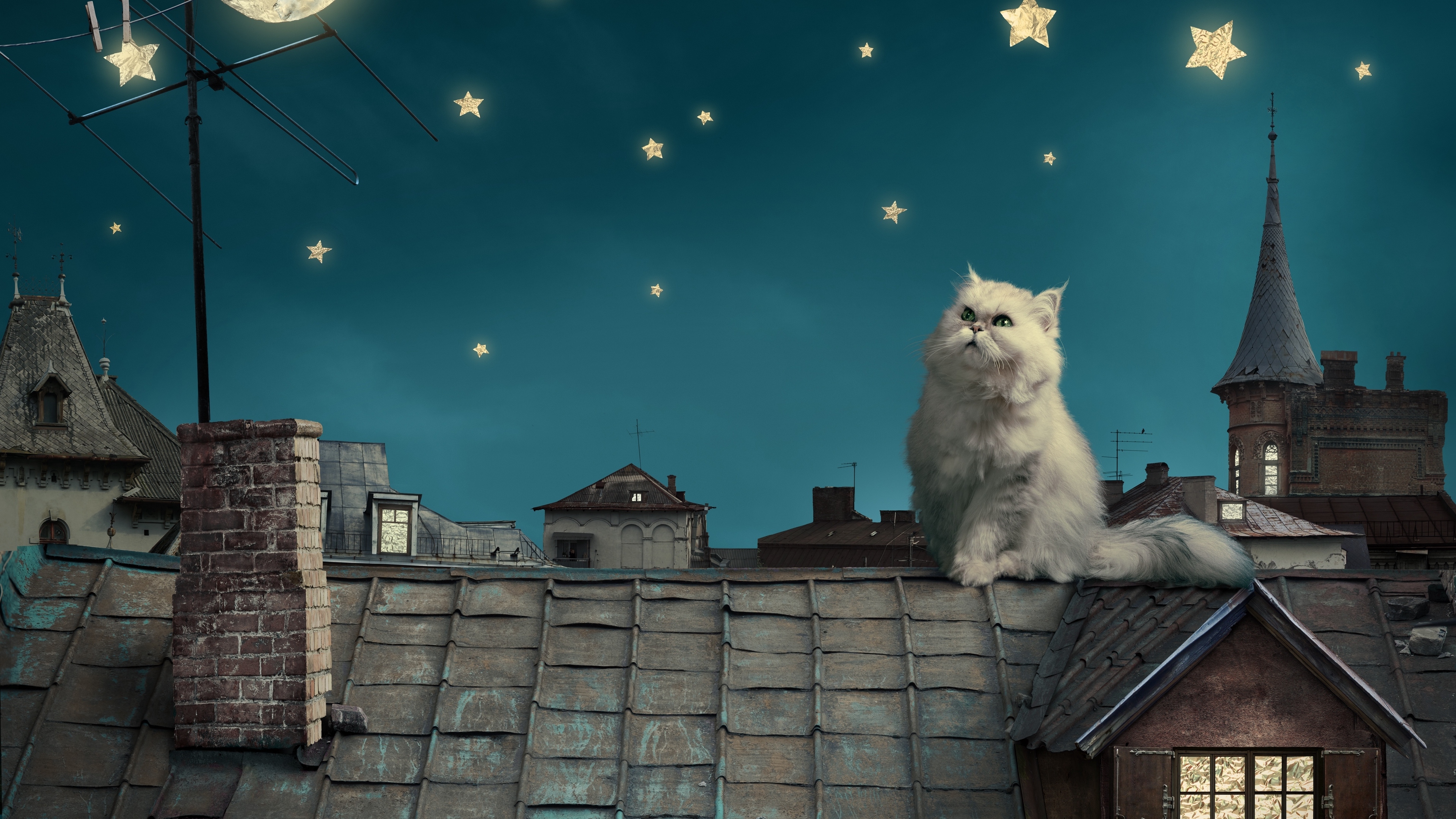 white persian cat kitten fairy tale fantasy roofs houses sky night stars moon 4k 1536098876