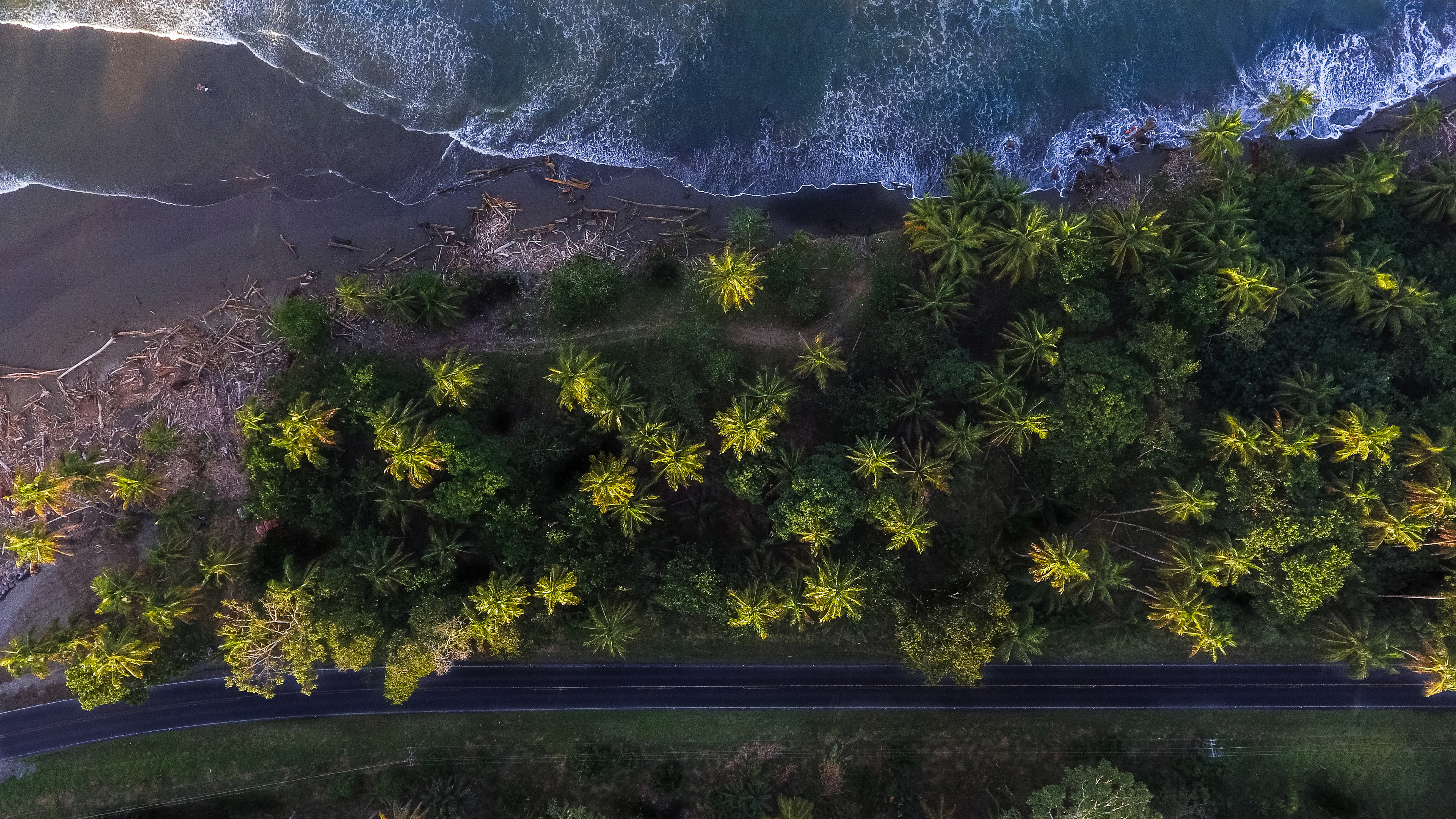 aerial shot of trees 4k 1540135431