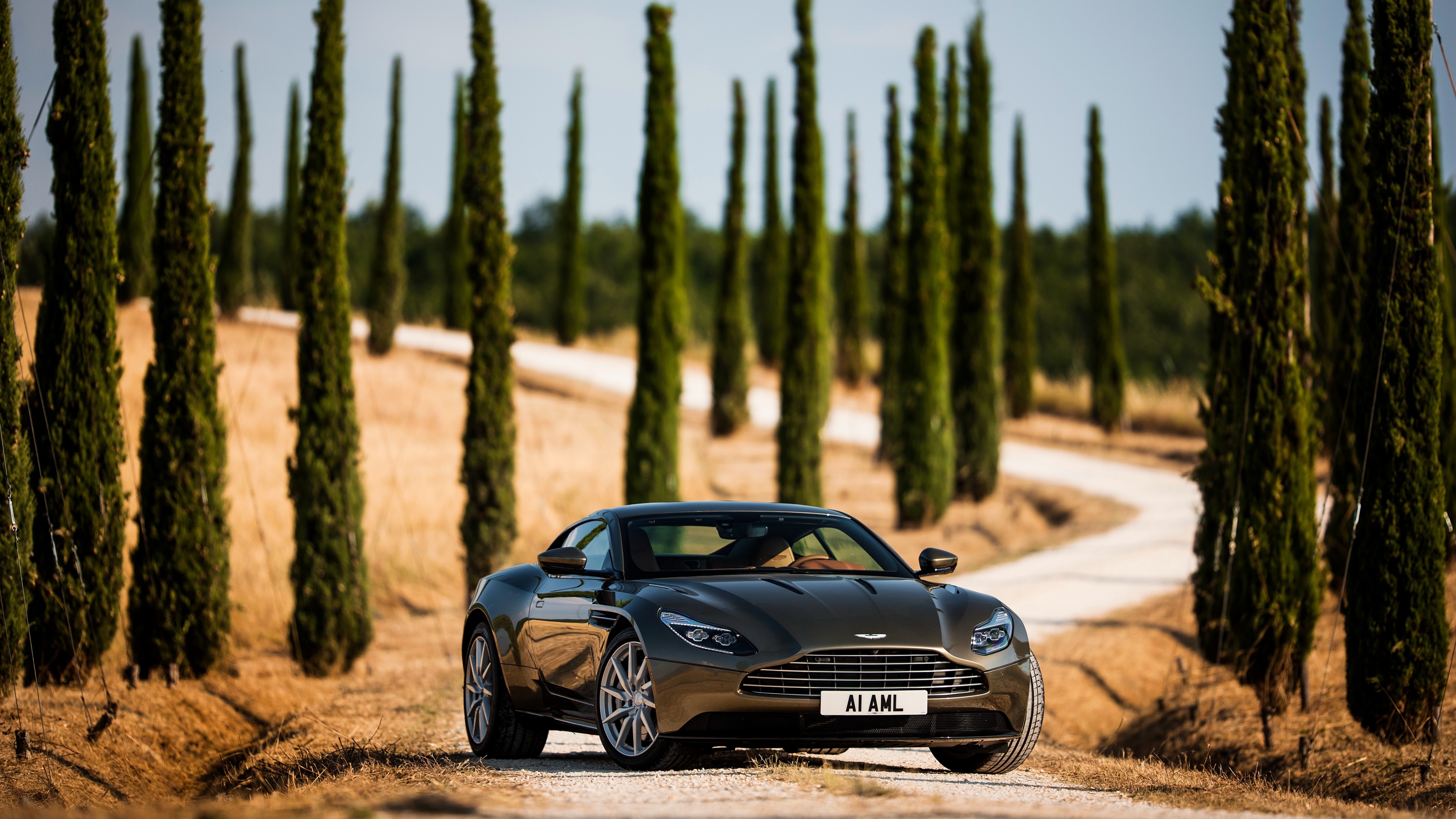 aston martin db1 1539104840