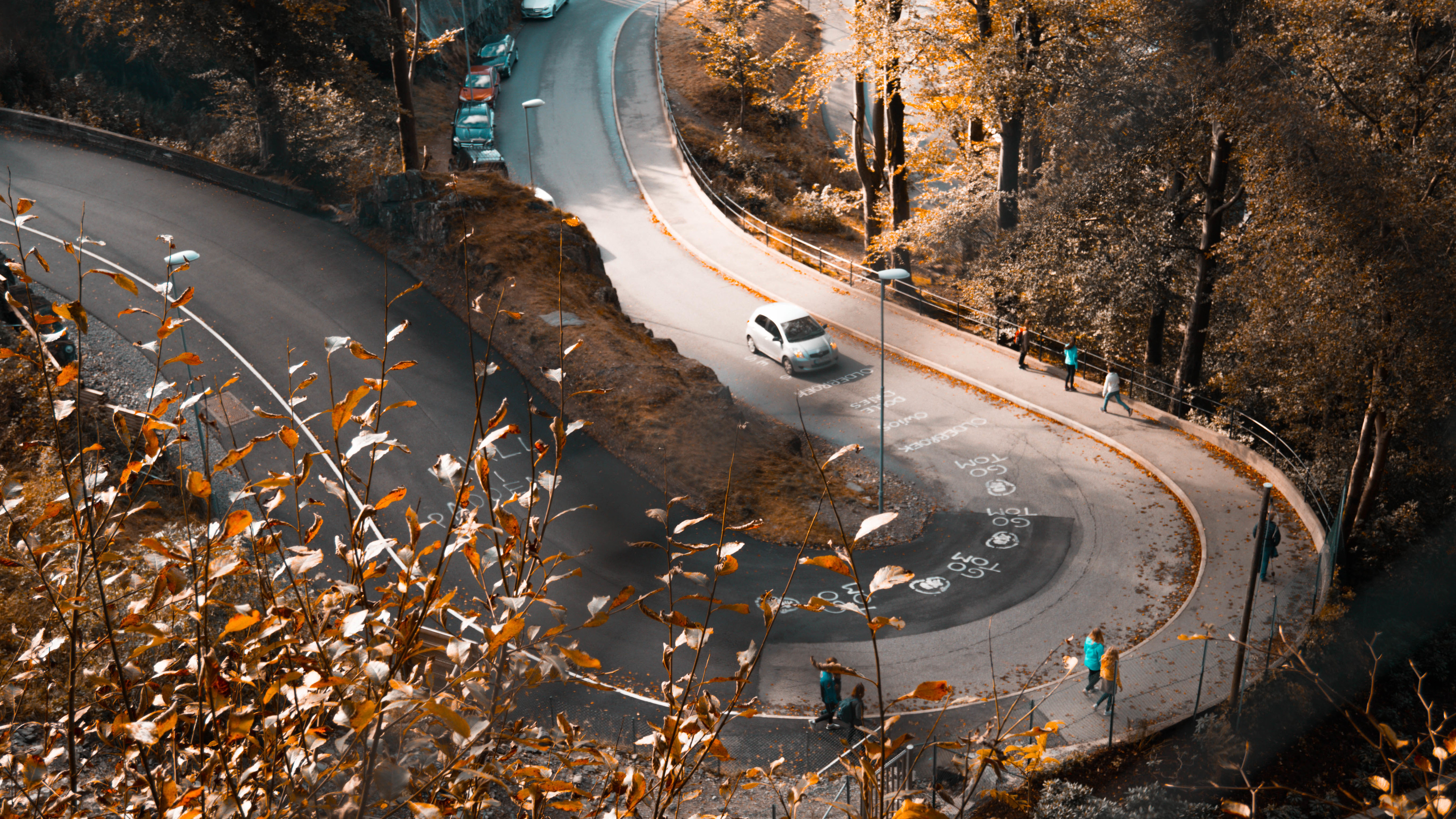 autumn road orange leaves fallen cars peoples walking 5k 1540754351