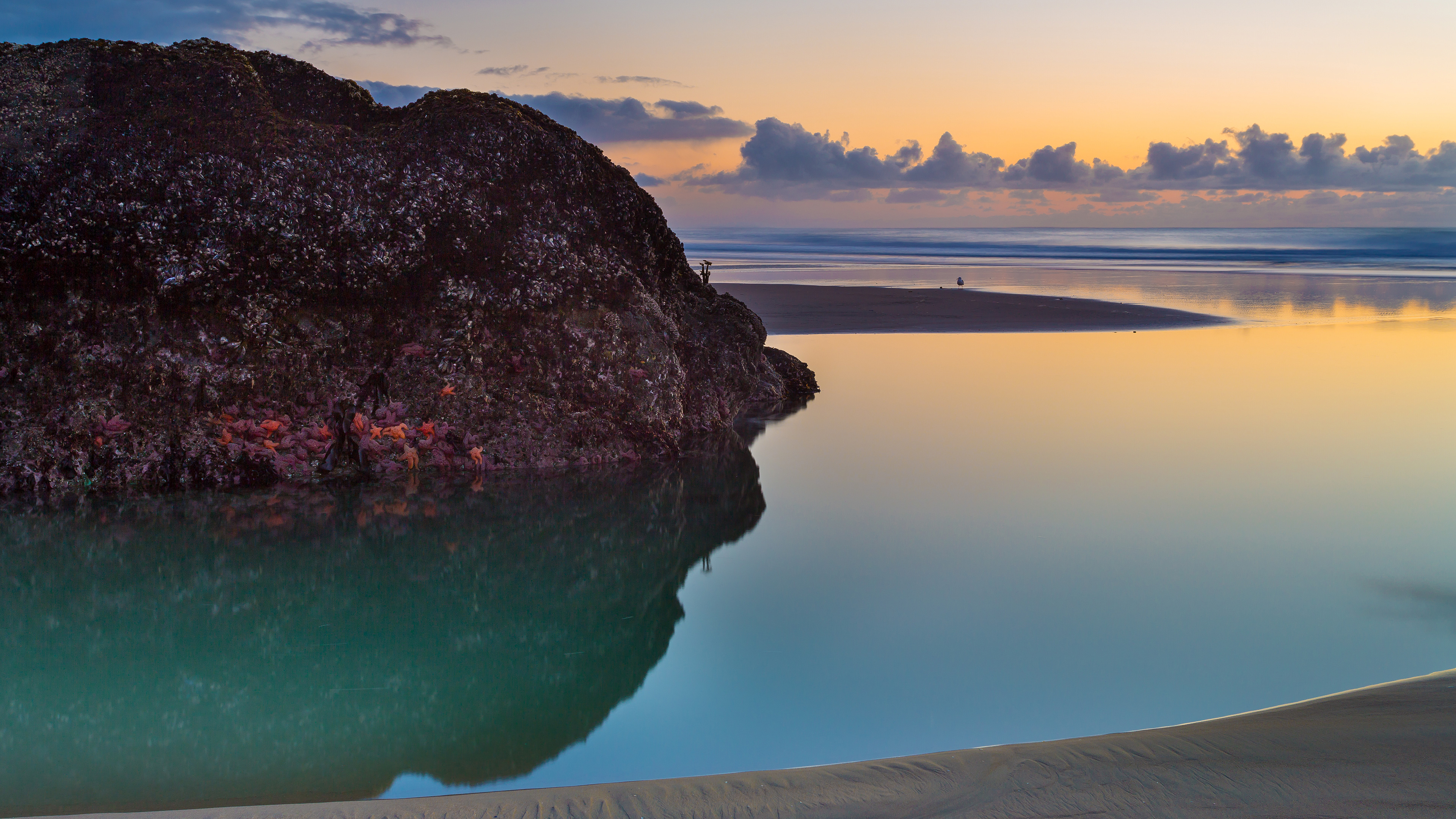 bandon beach 4k 1540132662