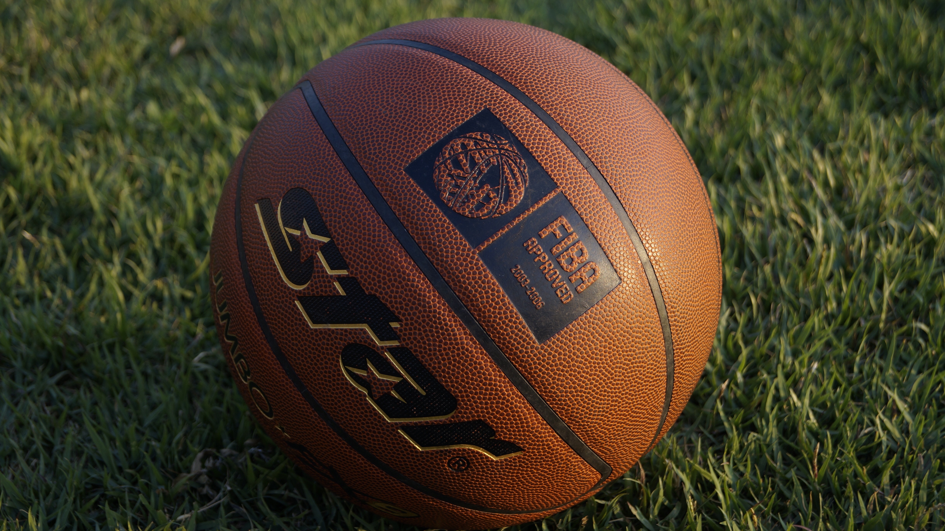 basketball ball basketball ball grass 4k 1540061563