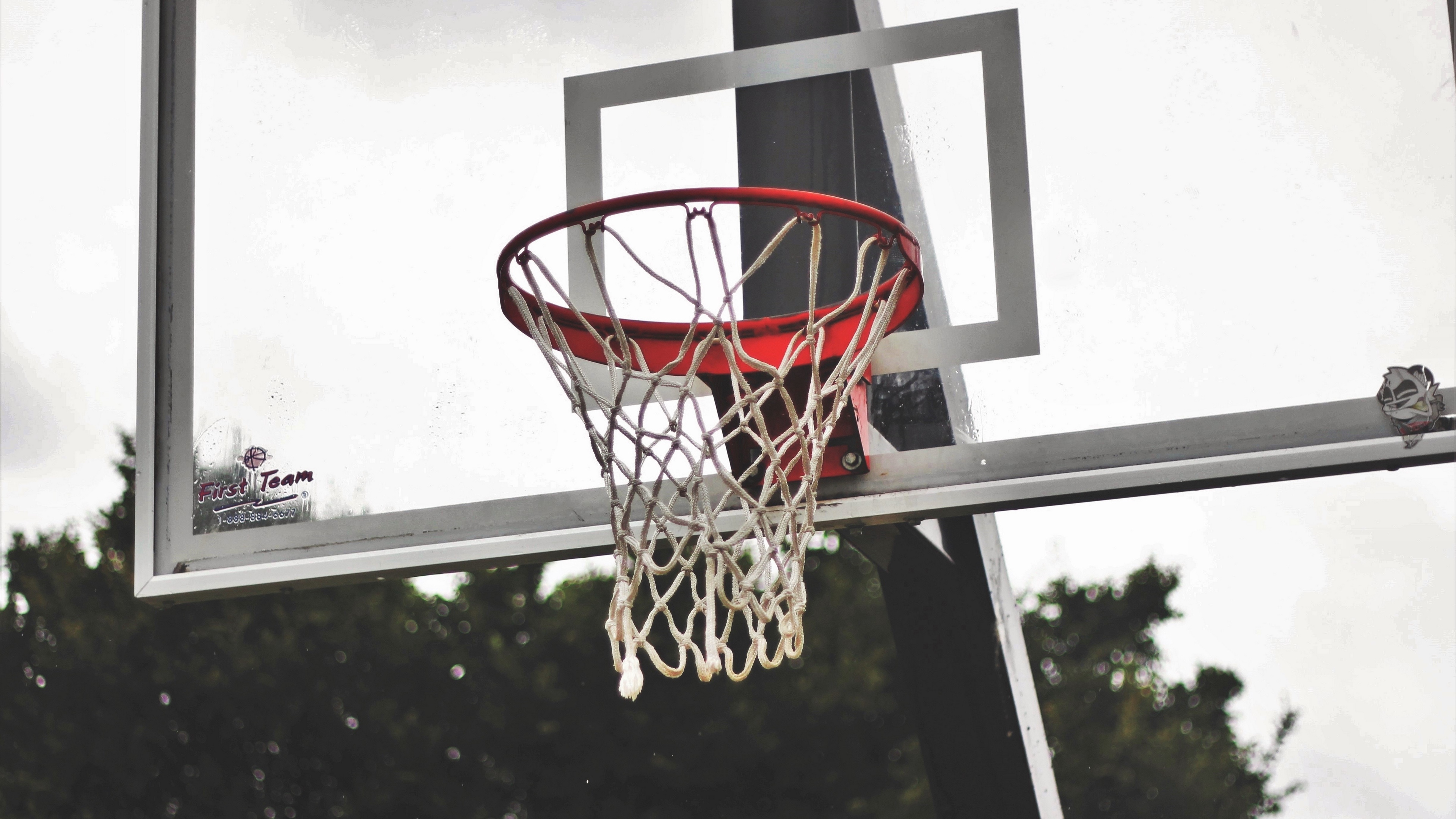 basketball shield basketball mesh 4k 1540062652