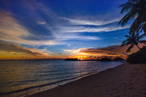 beach tree sea clouds 4k 1540136217