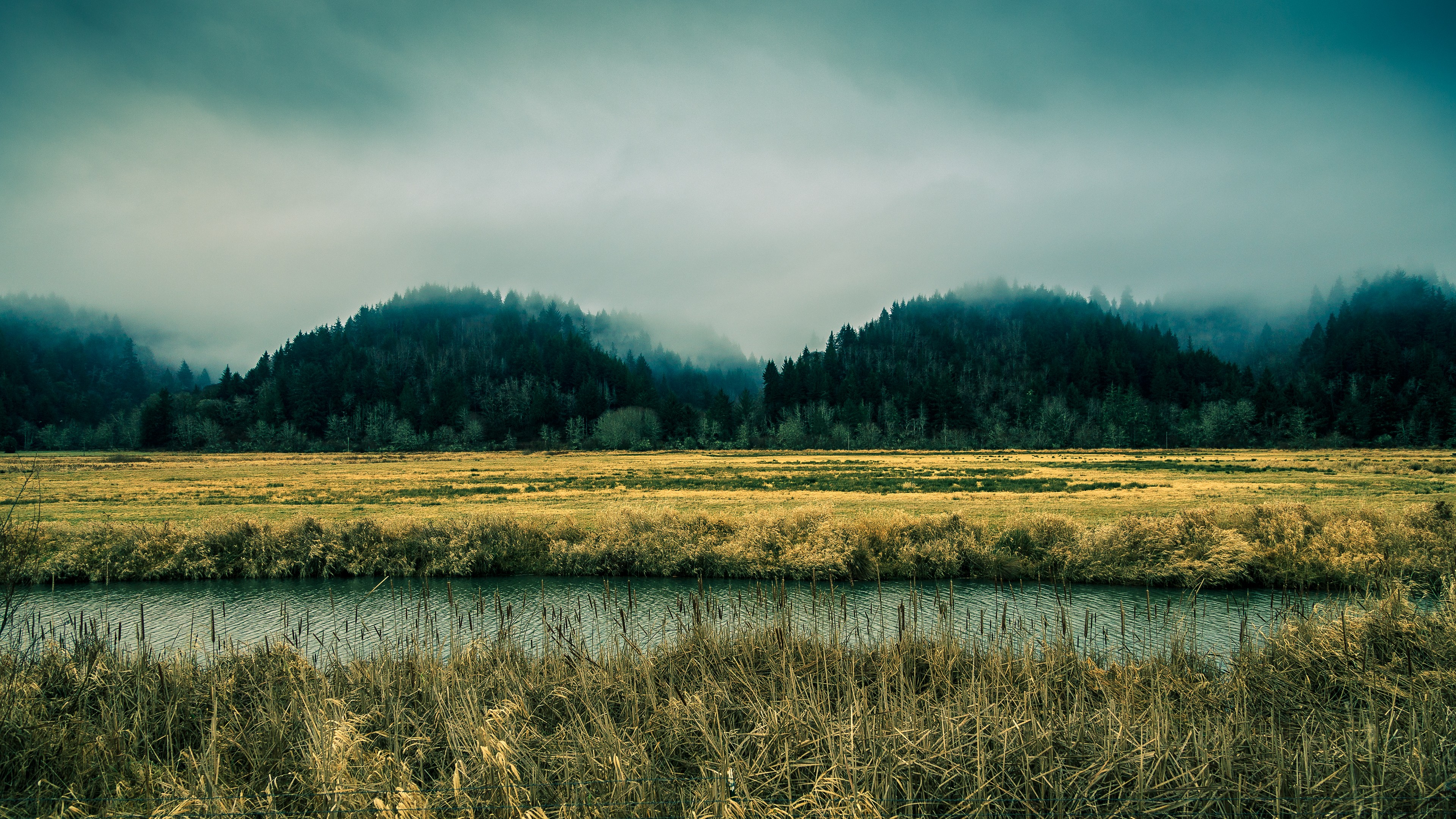 beautiful nature mountains fog trees 4k 1540133053