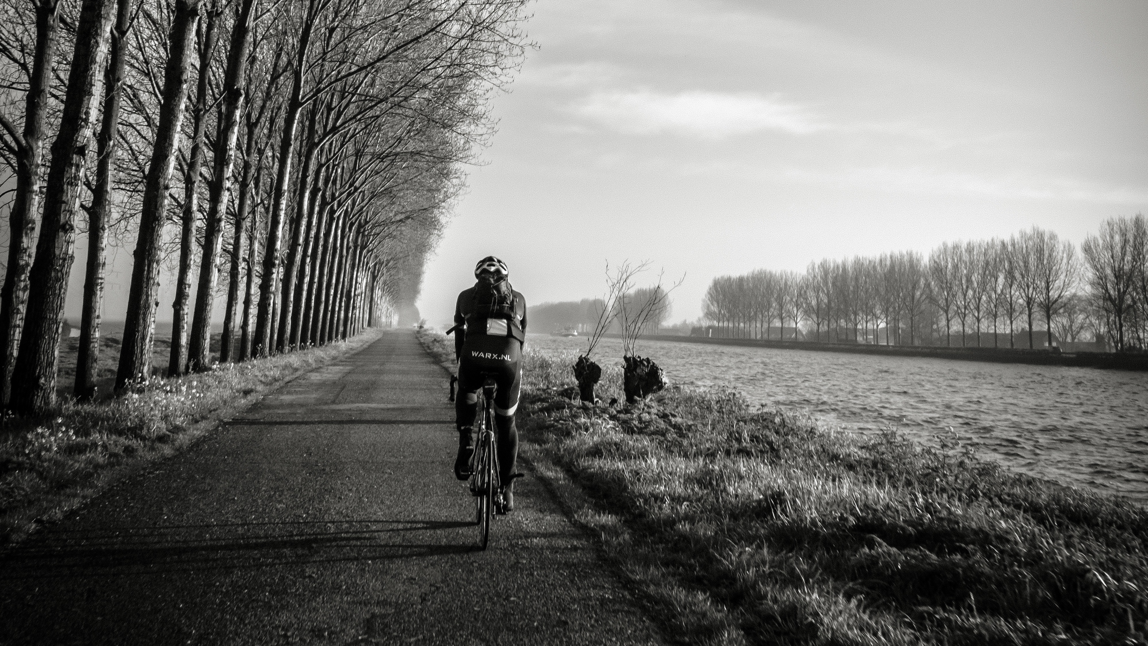 bicyclist bw trees road traffic 4k 1540062571