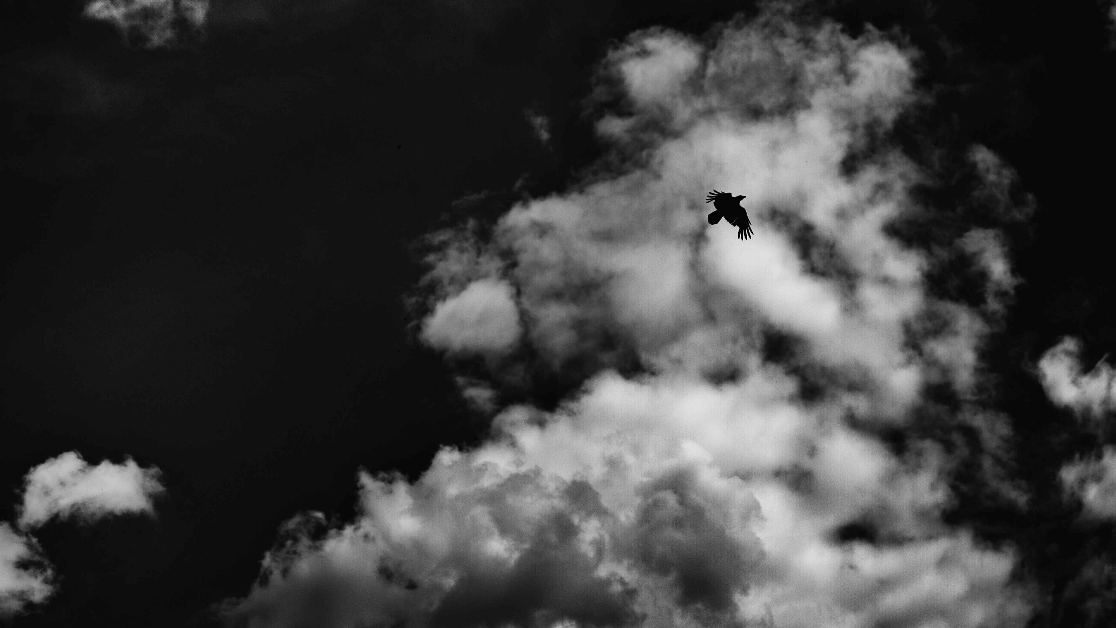 bird clouds bw flight sky 4k 1540574315