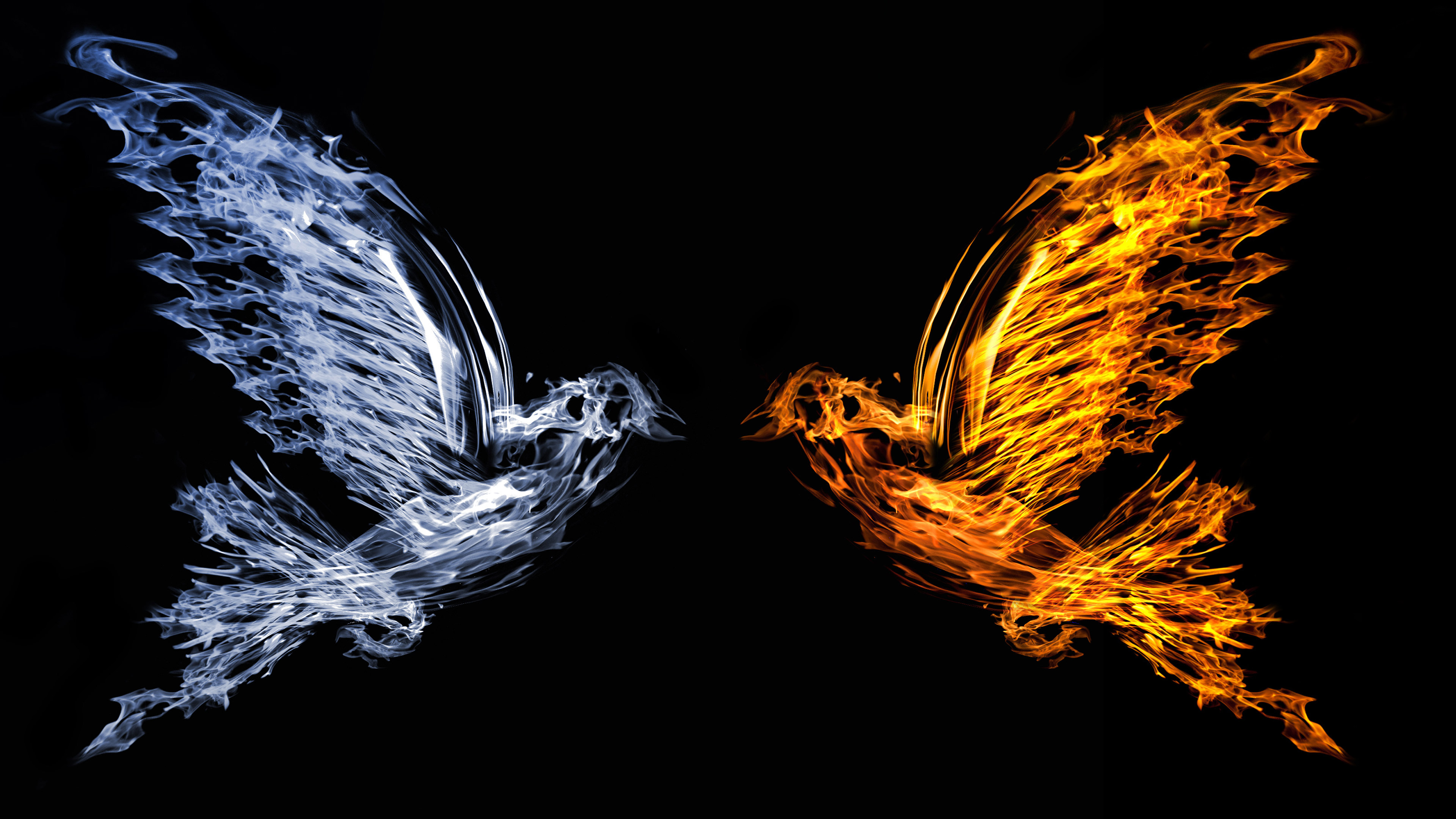 Wallpaper 4k Bird Fire And Water 4k Artist Wallpapers Bird