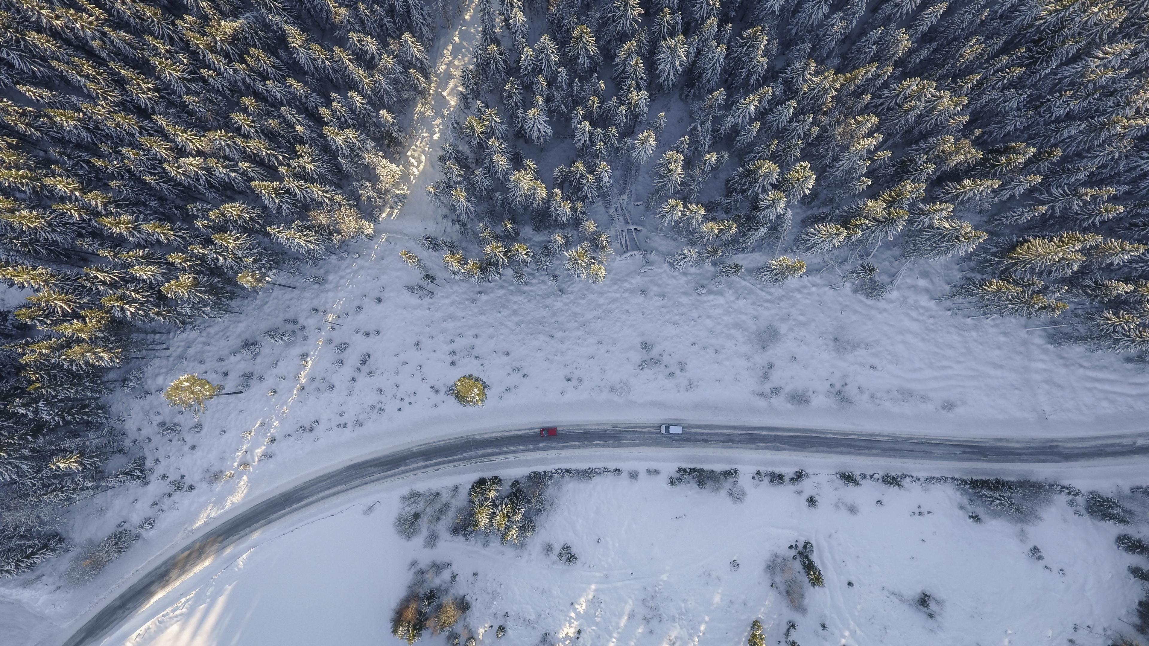 birds eye aerial view of road trees winter 4k 1540137243