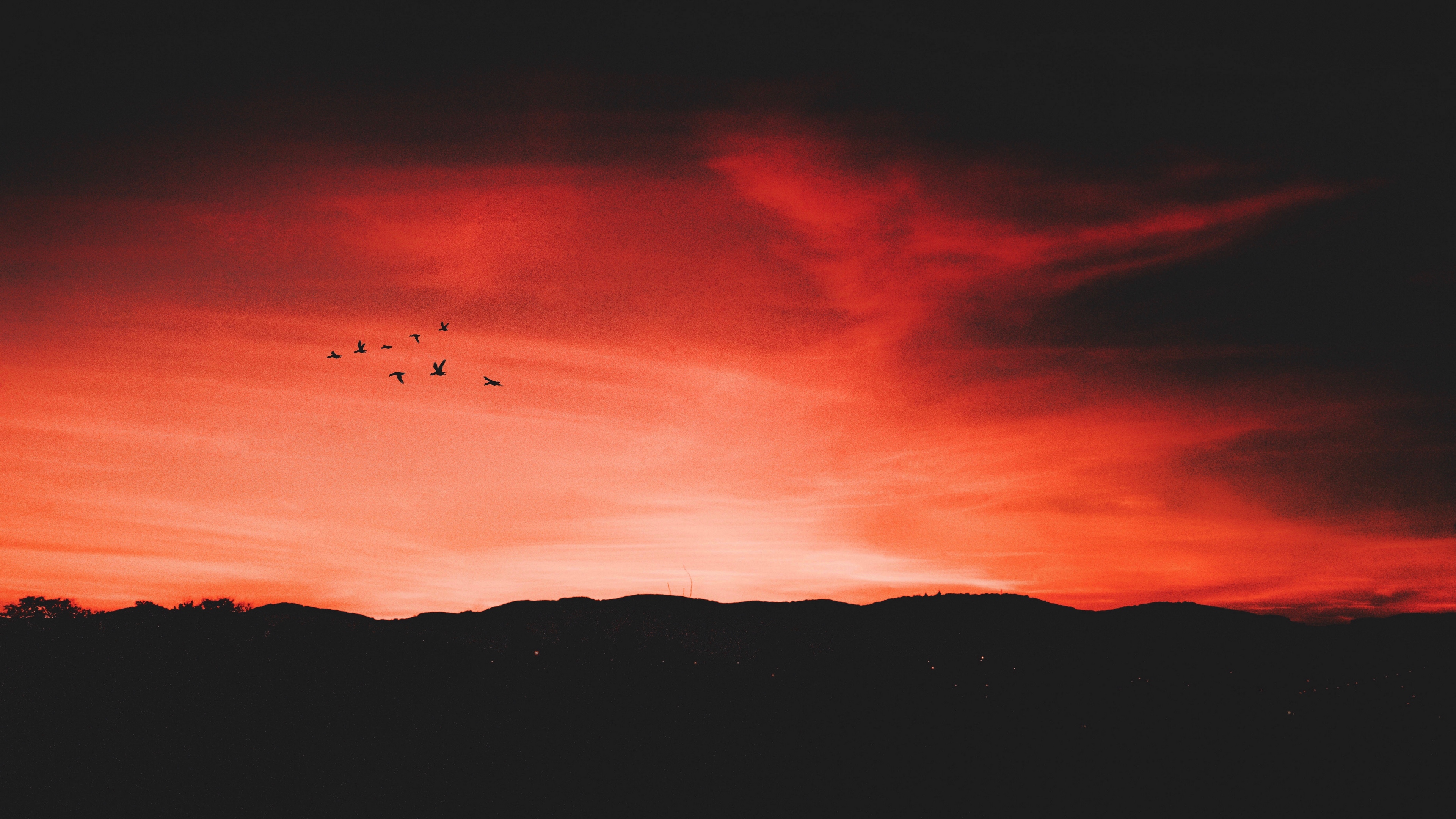 birds night sky horizon 4k 1540576393