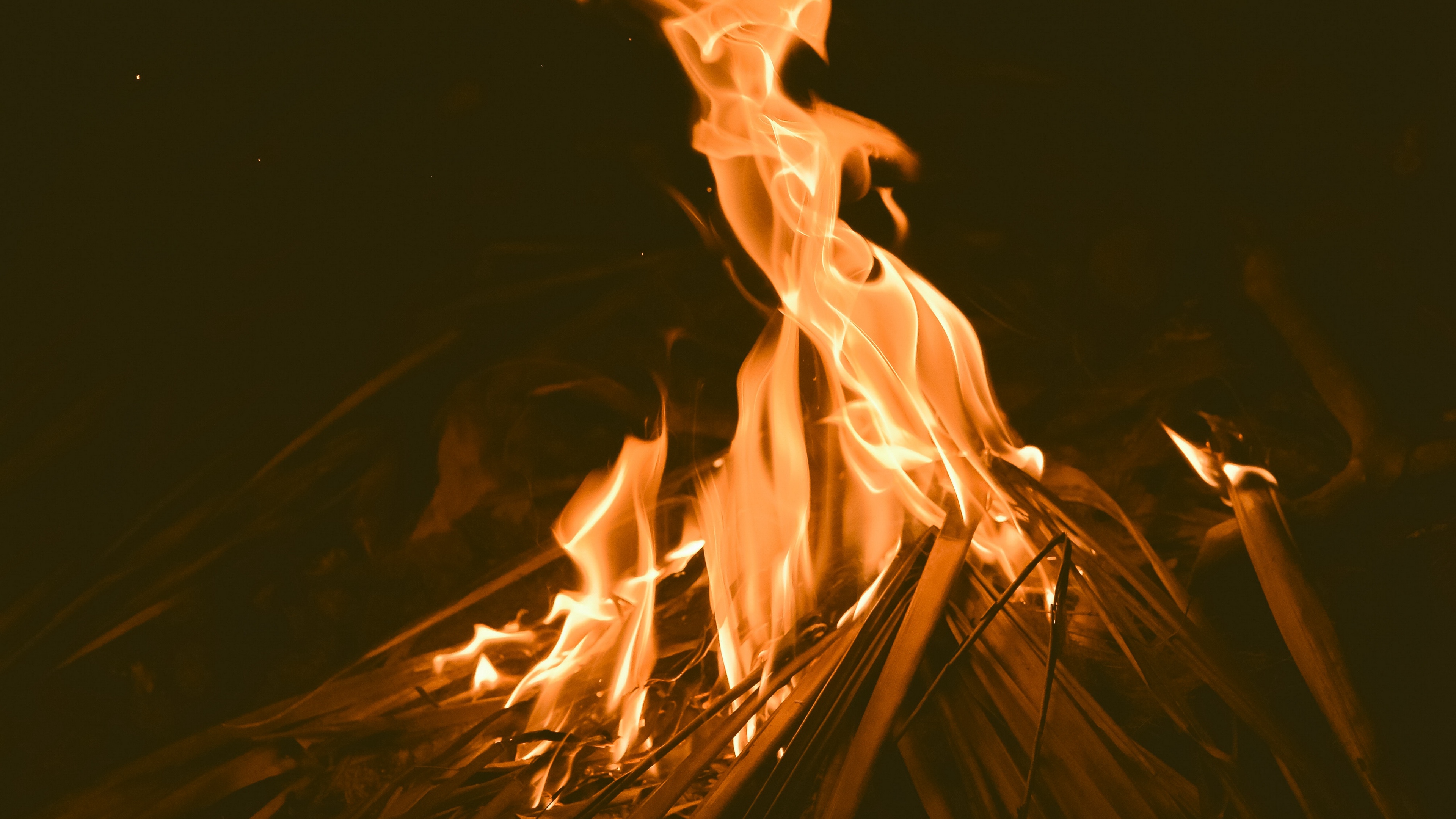 bonfire fire flame dark 4k 1540575172