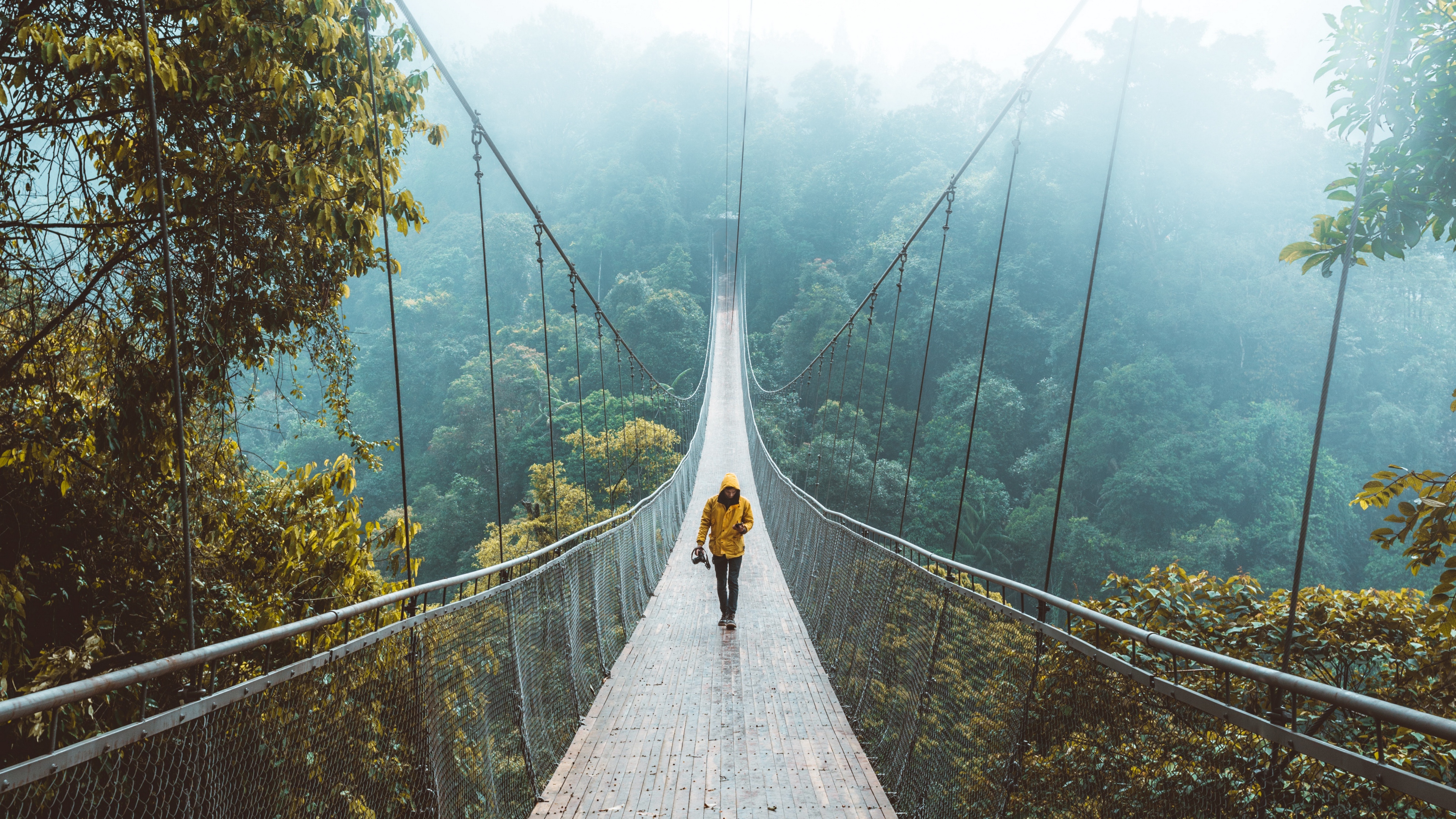 bridge suspension bridge loneliness walk forest 4k 1540145842