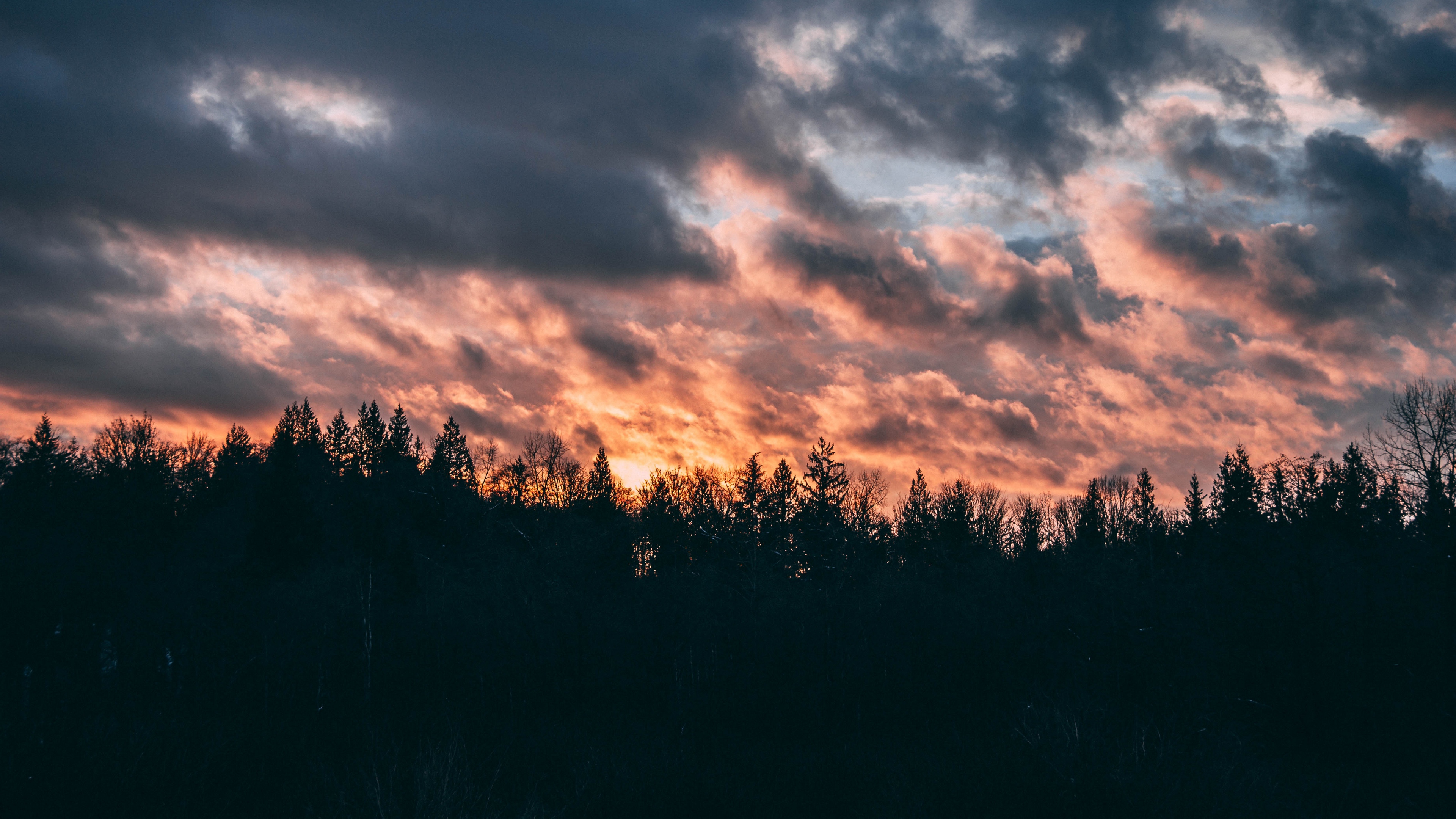 clouds trees sky sunset 4k 1540574904