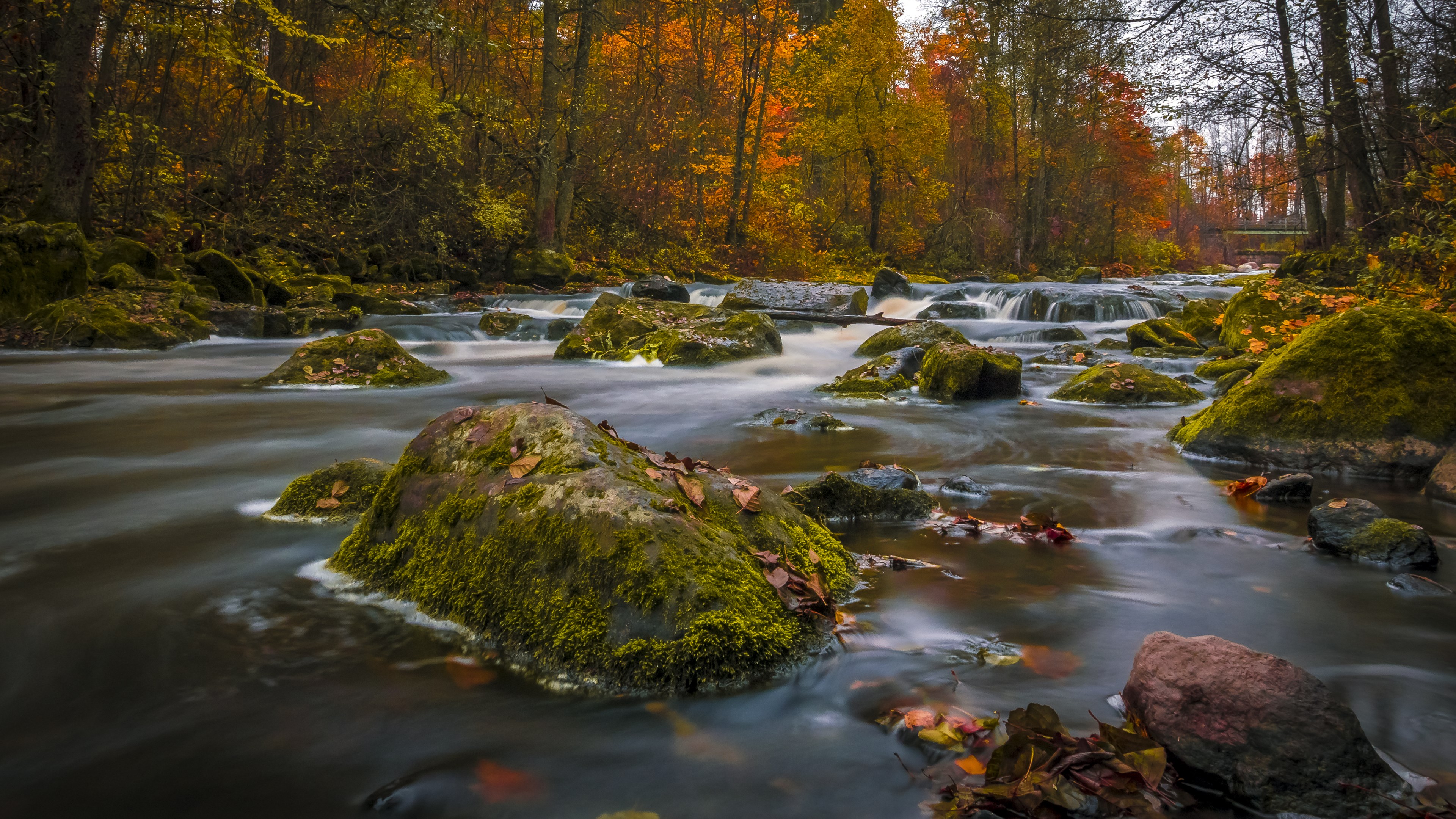 colors of autumn 4k 1540132449