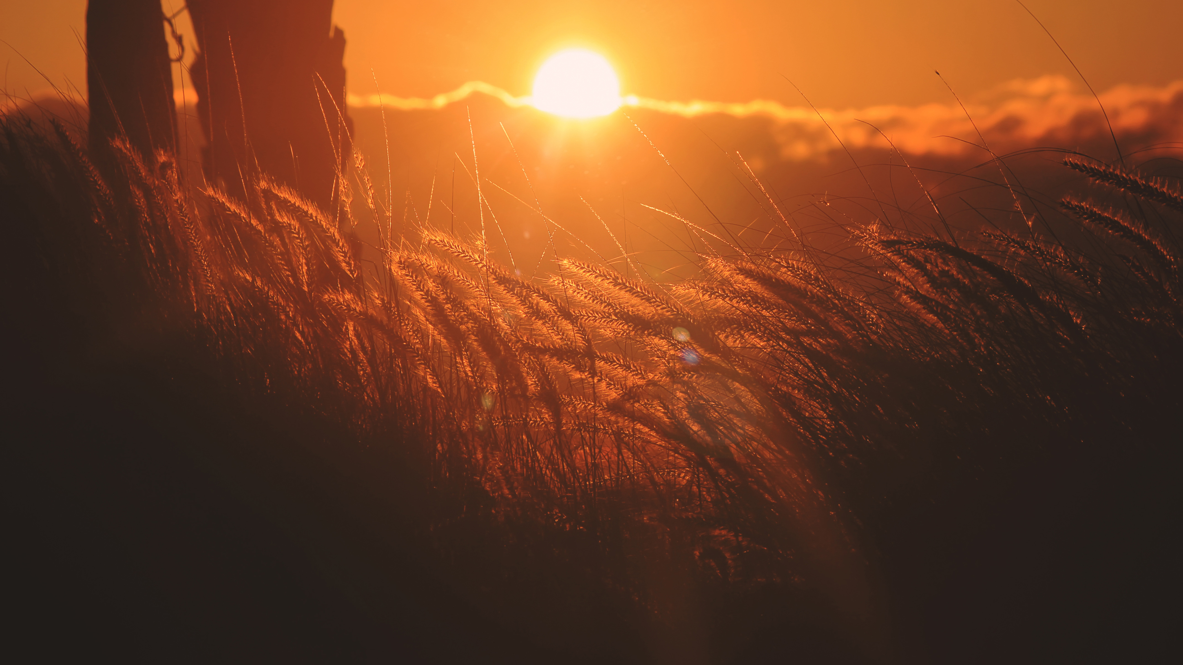 corn filed sunset 5k 1540132895